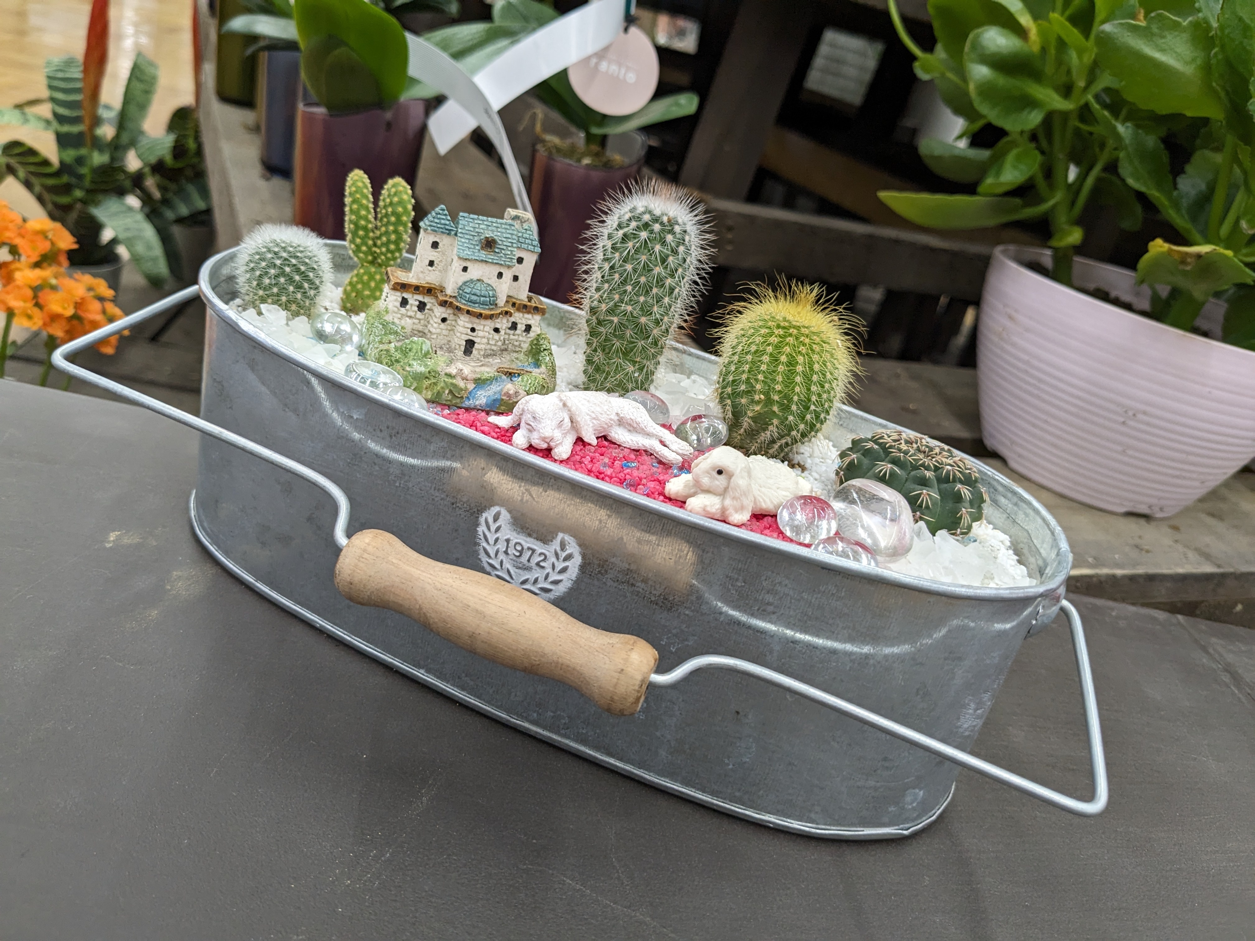 小さい自分世界♥サボテン寄植え | CAINZ DIY Square