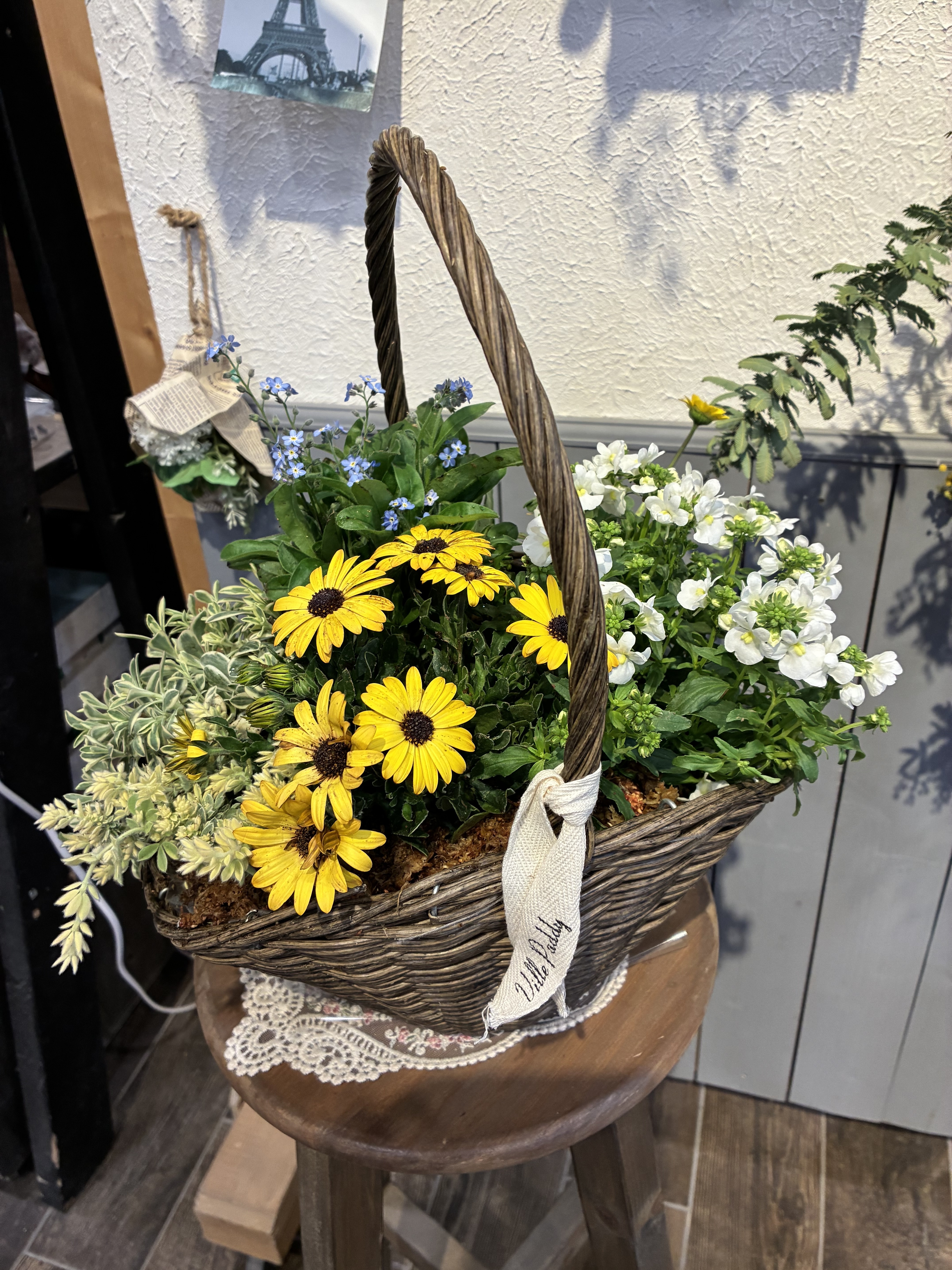 春風のバスケット寄せ植え | CAINZ DIY Square