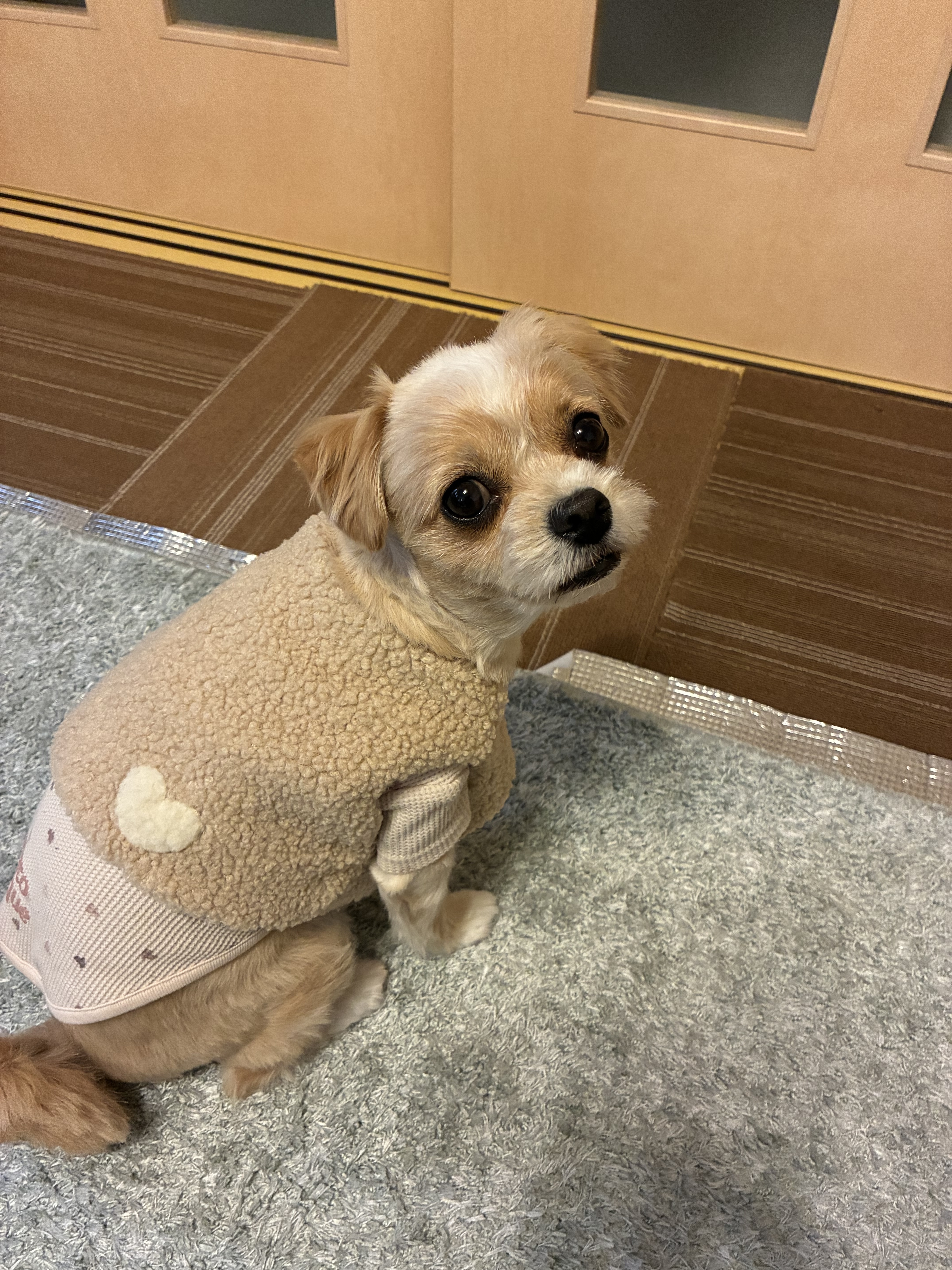 寒くなってきたので