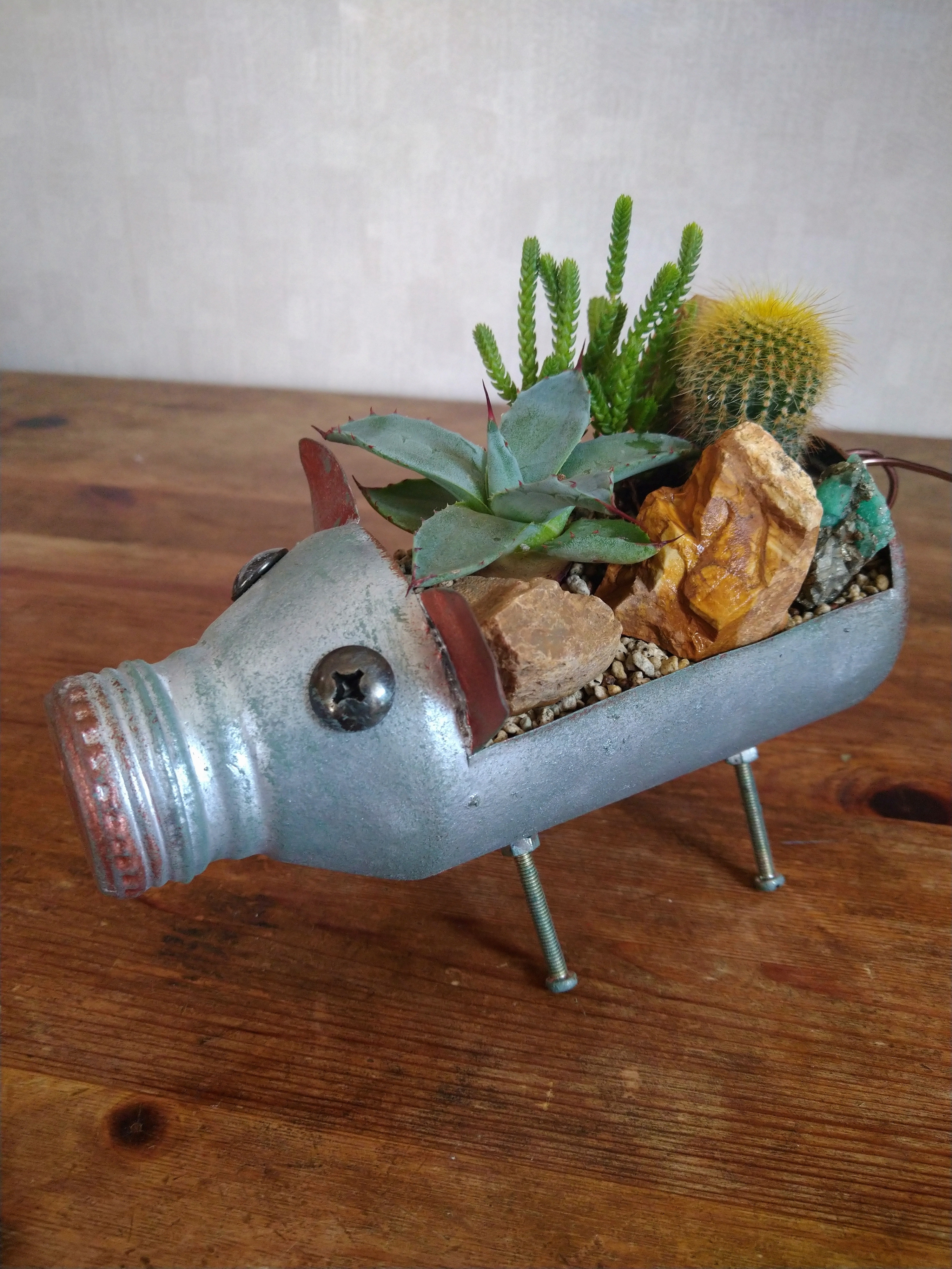 ドライガーデンZセット鉢ごと配送致します。 ドライガーデンZセット鉢