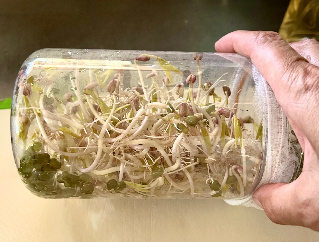 11544db2-25ca-4cf4-882a-