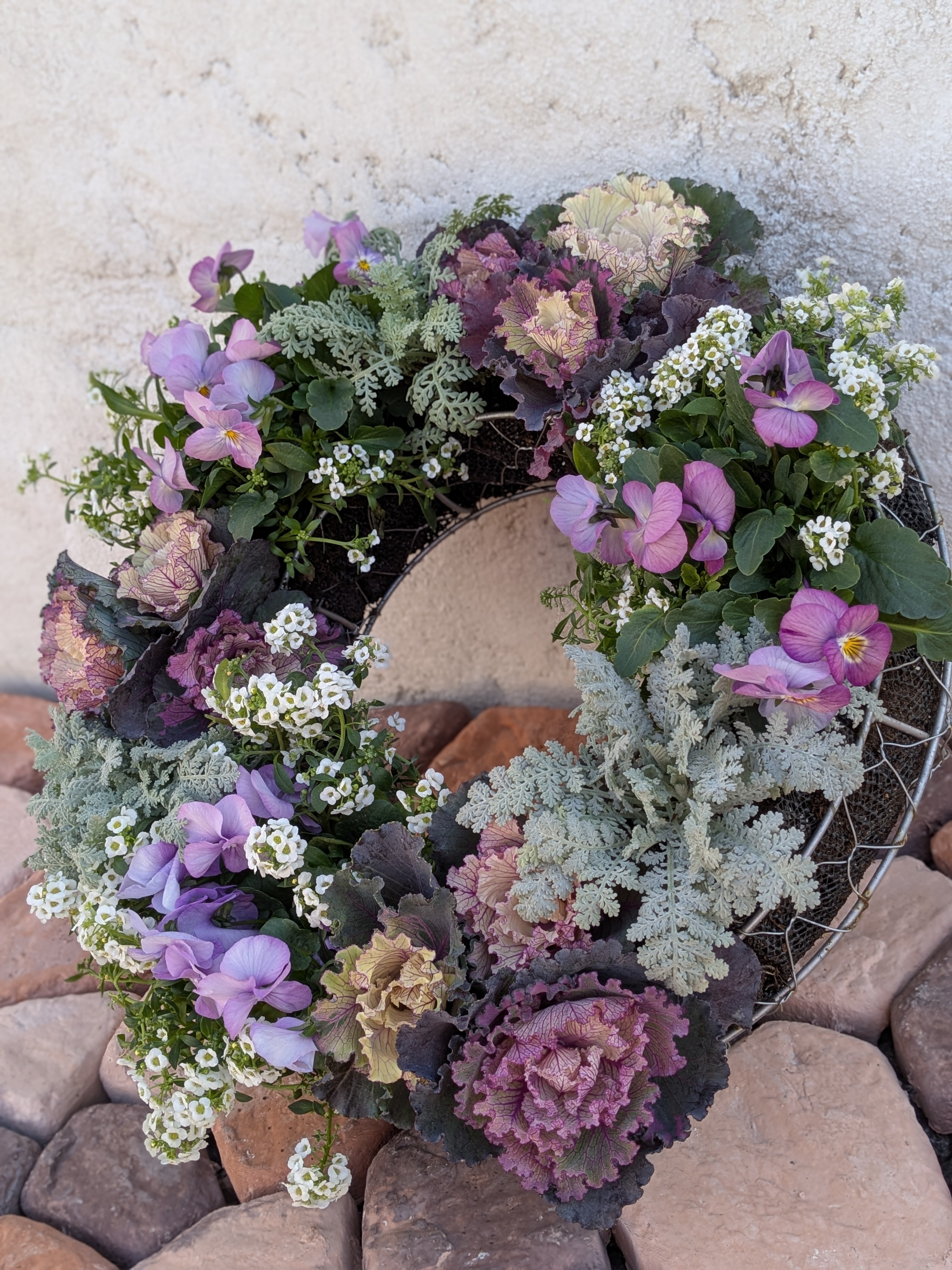 寄せ植えバイキングのお花で寄せ植え① | CAINZ DIY Square