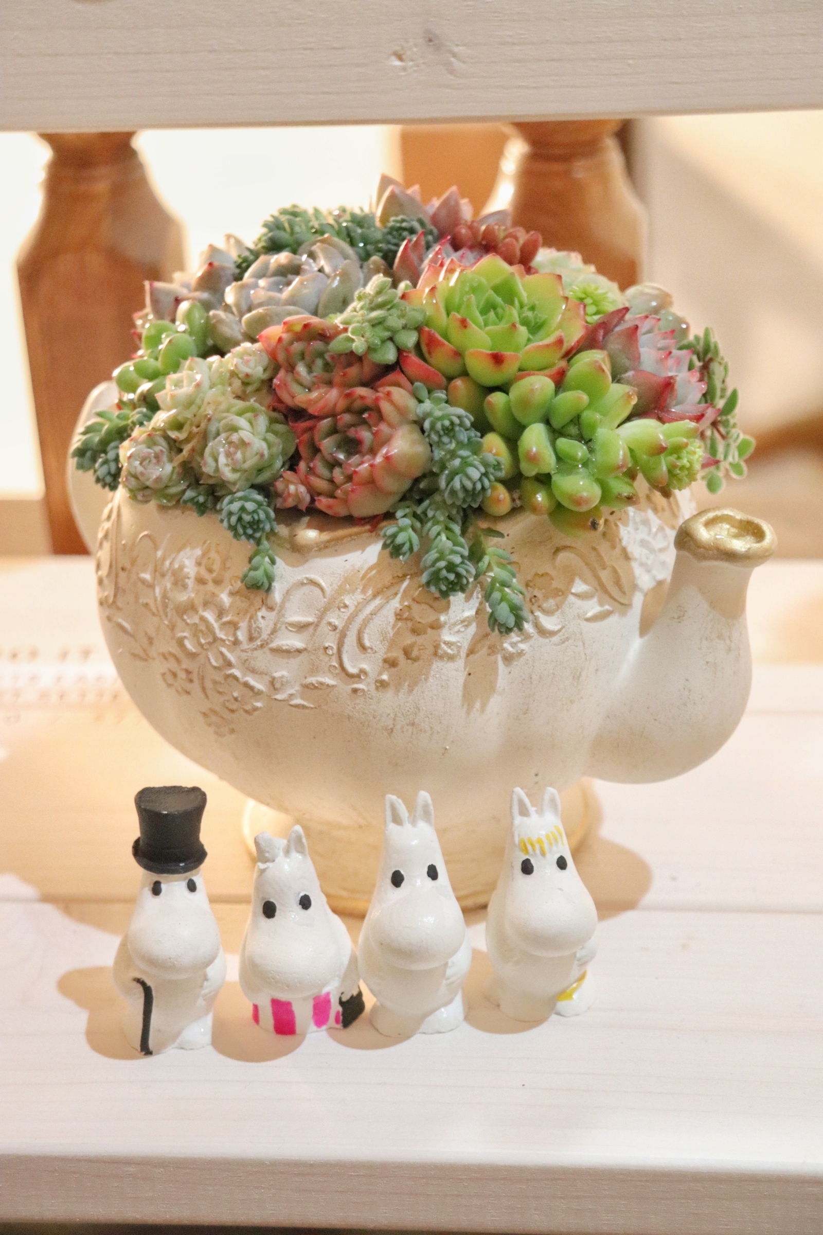 念願の寄せ植え🥰🤍 | CAINZ DIY Square