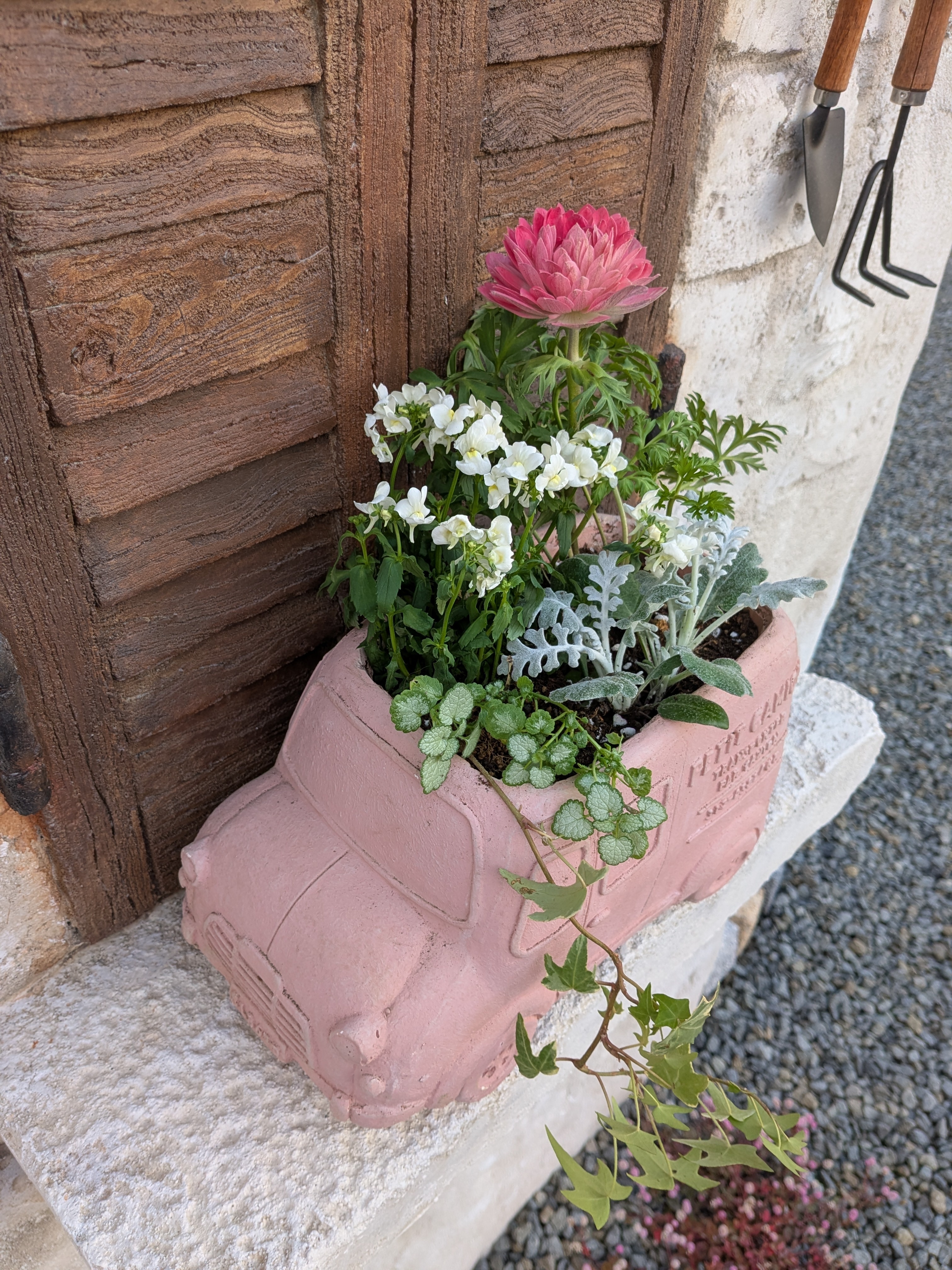 雨花ページ 寄せ植えバイキングのお花で寄せ植え② | CAINZ DIY Square