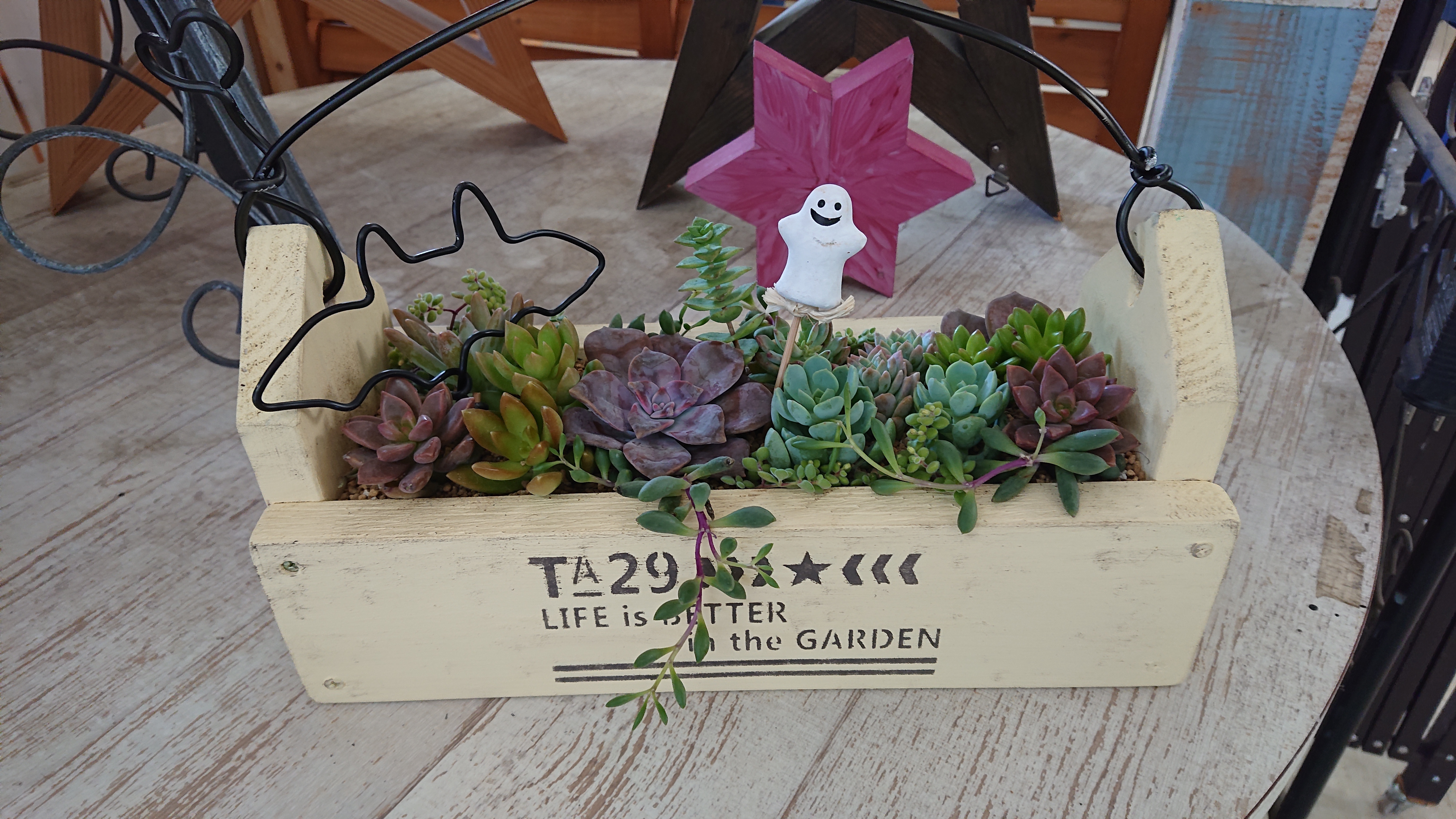 ウッドプランターで多肉植物の寄せ植え | CAINZ DIY Square