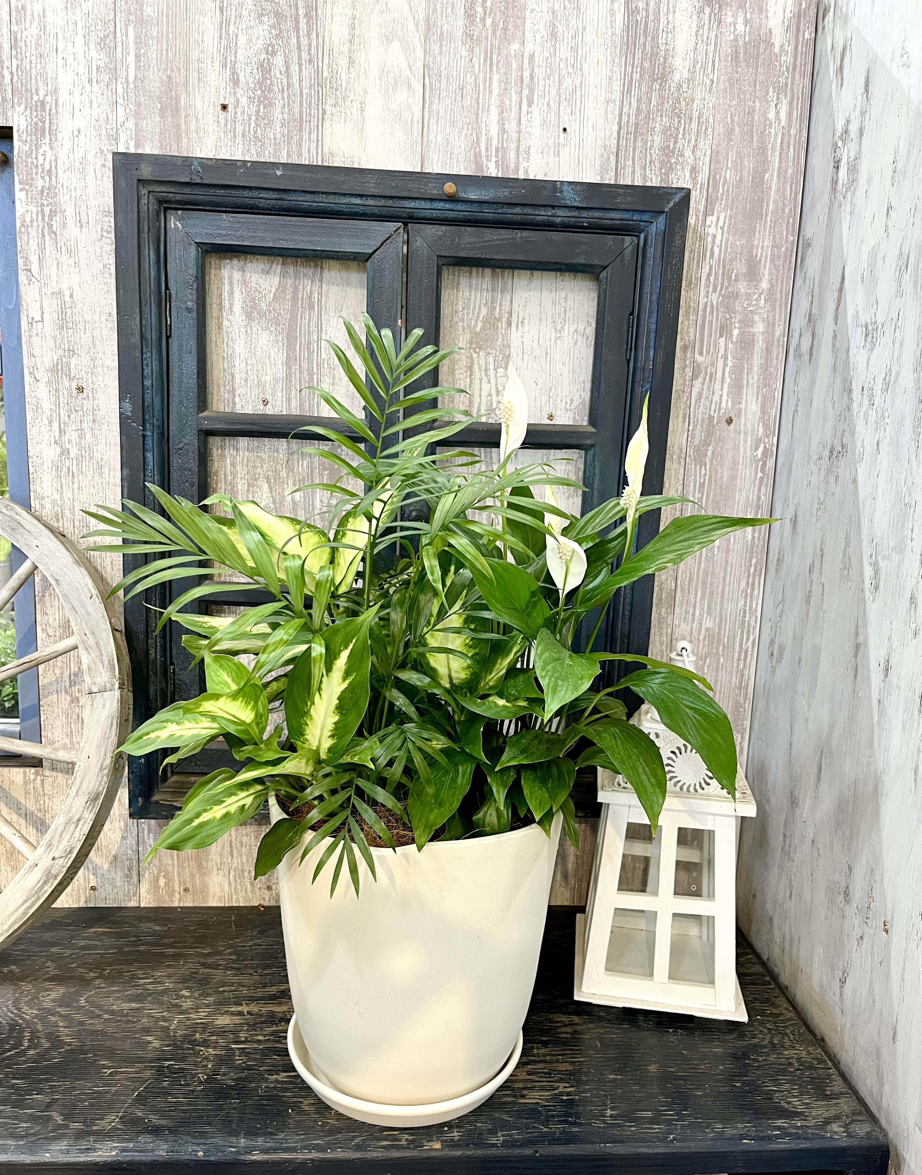 85894675-c029-4740-9ae9-