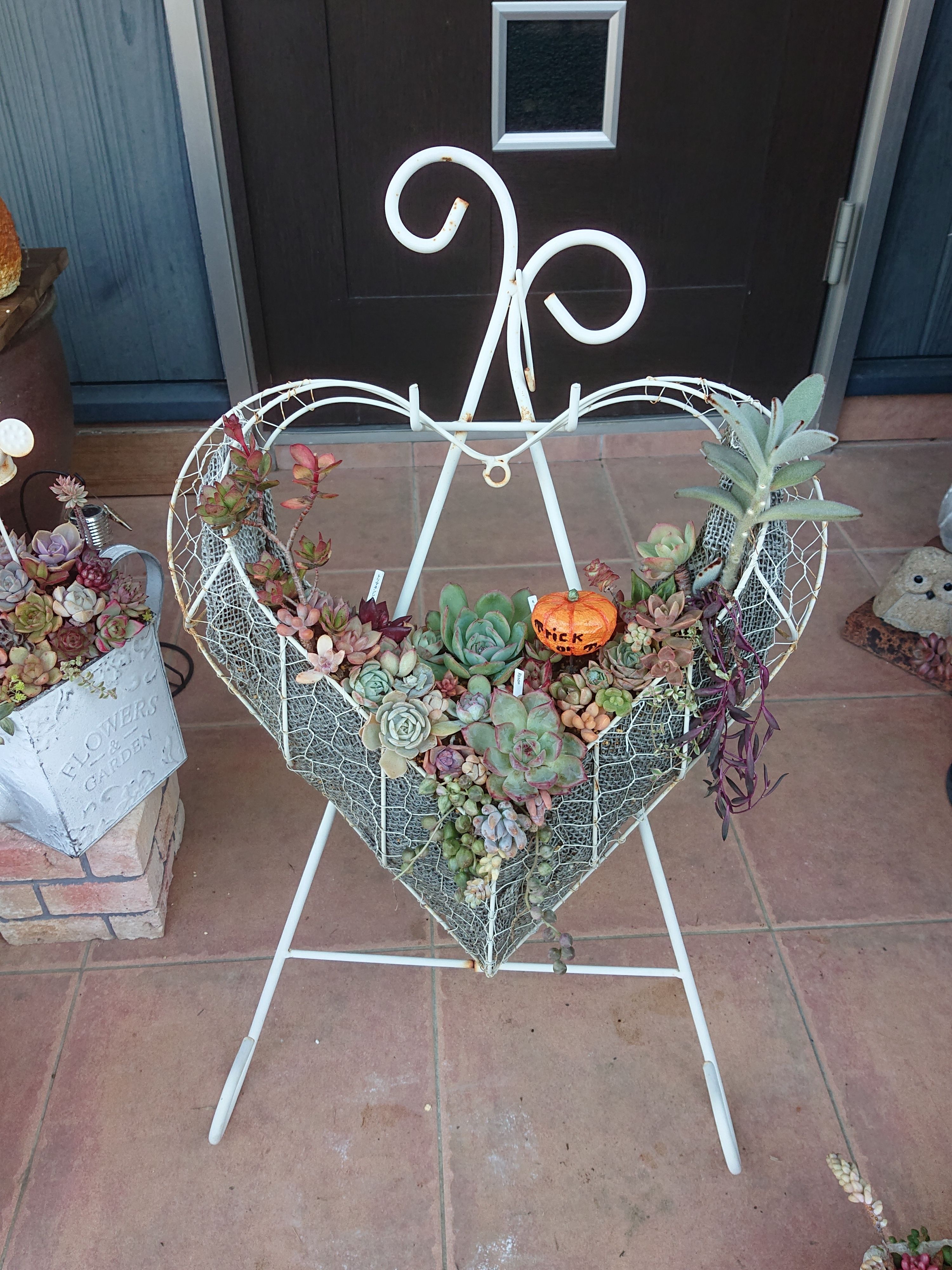 多肉植物寄せ植え✨メッシュプランターハート❤️😂 | CAINZ DIY Square