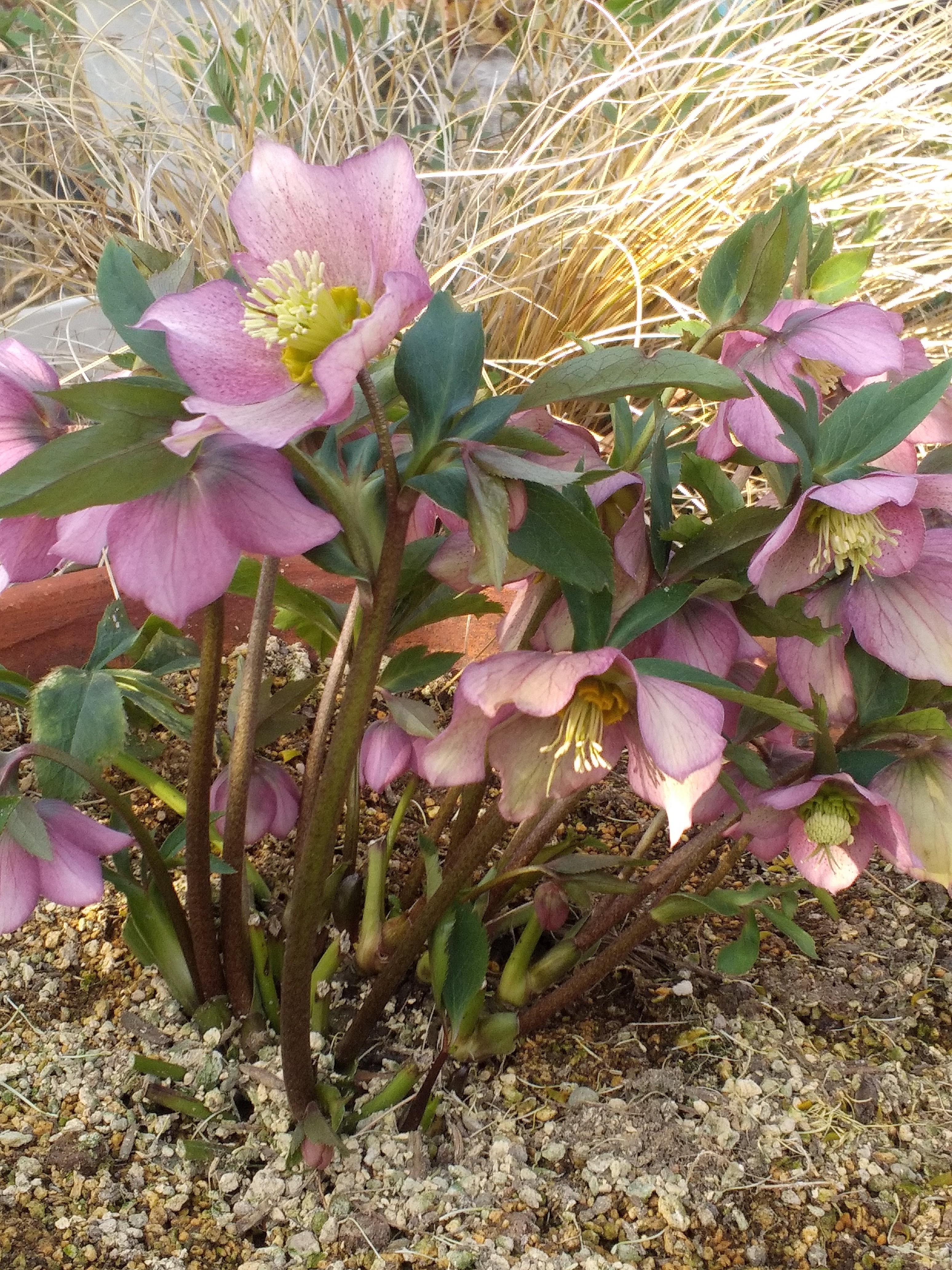 9be02ed9-e00c-4c8b-a69d-