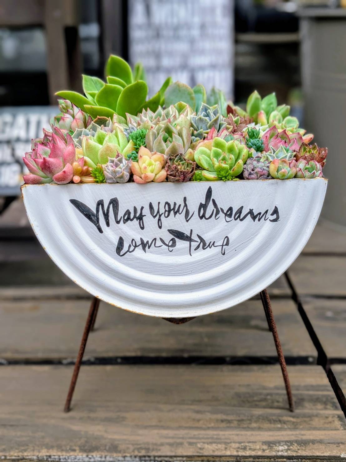 寄せ植え✨ | CAINZ DIY Square