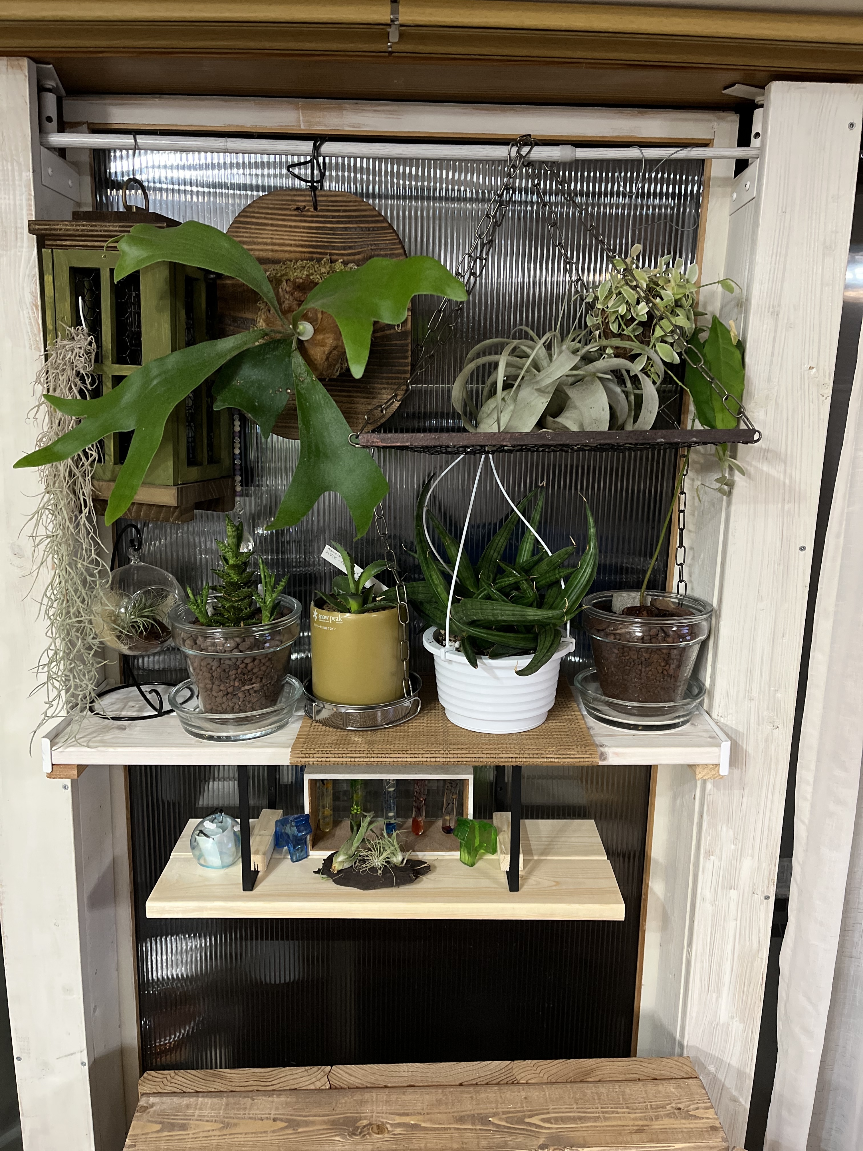 植物用の棚 | CAINZ DIY Square