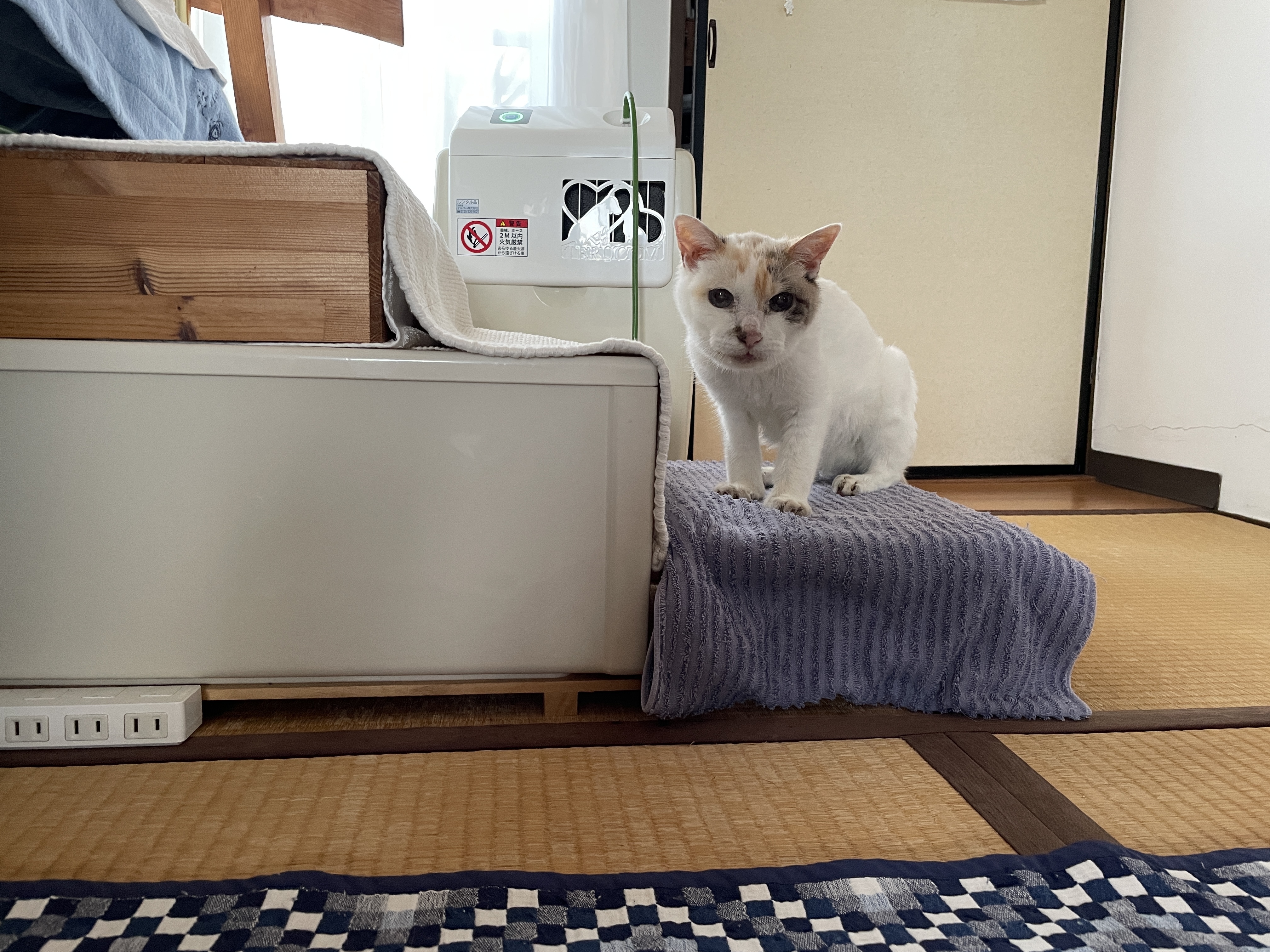 ♪🐈脚の不自由なうちの子に手作りステップ🐈♪ | CAINZ DIY Square