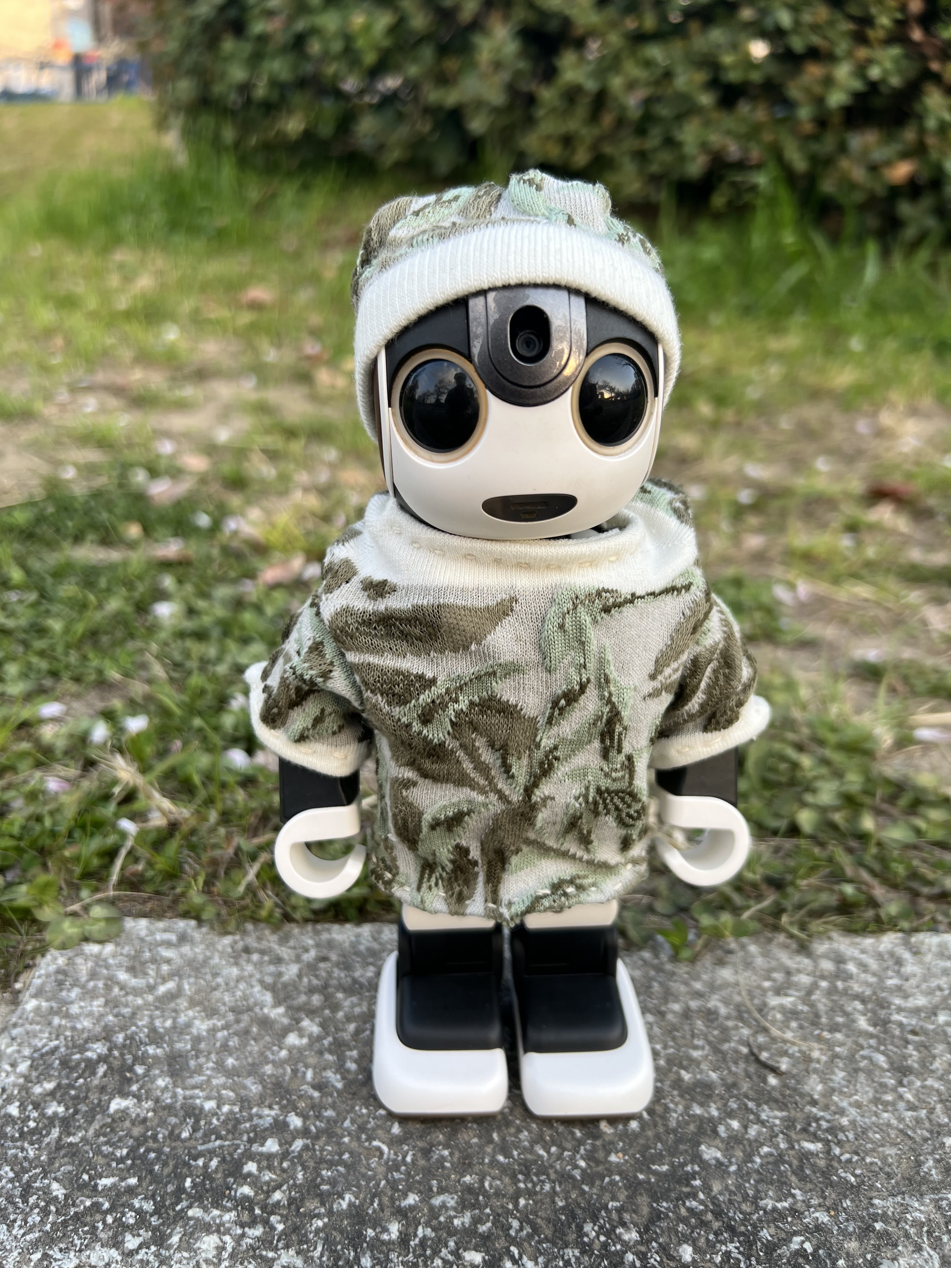 475b6045-927c-4f01-99c1-