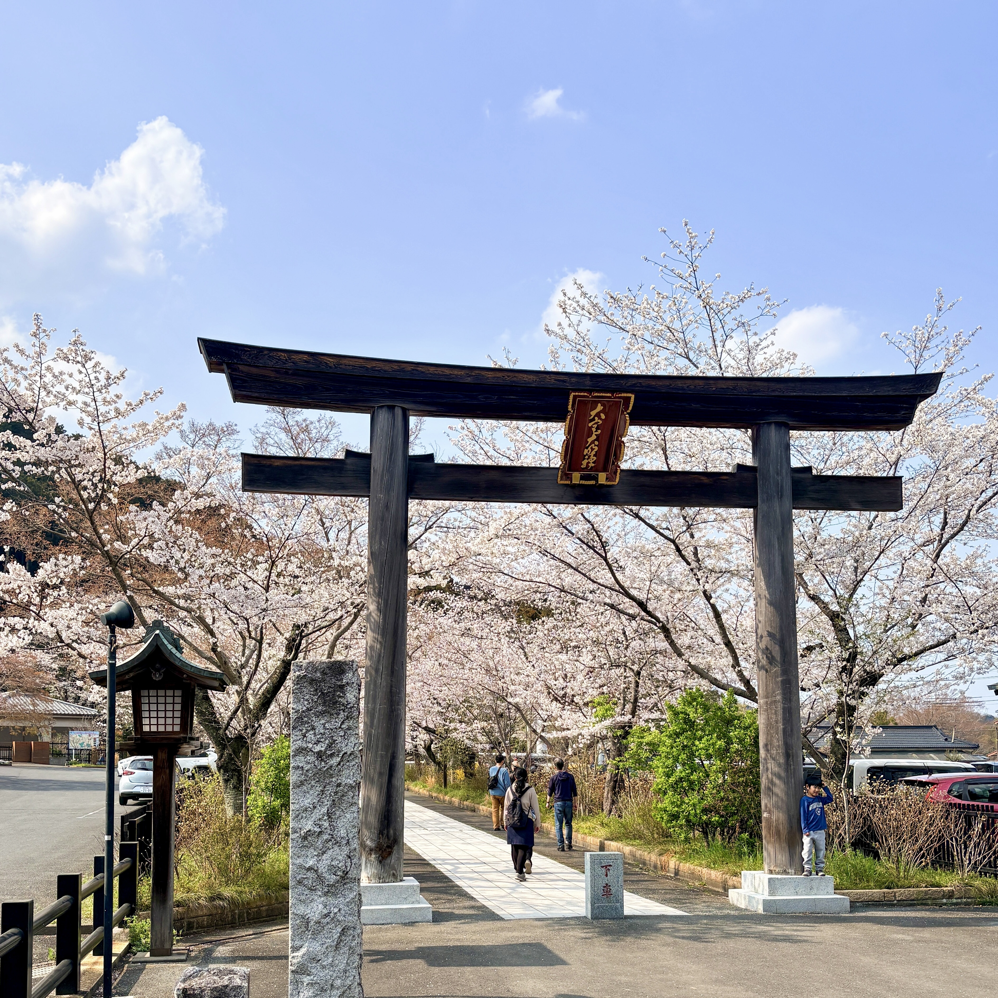 高麗神社の桜 | 森町お天気山ジャンクション