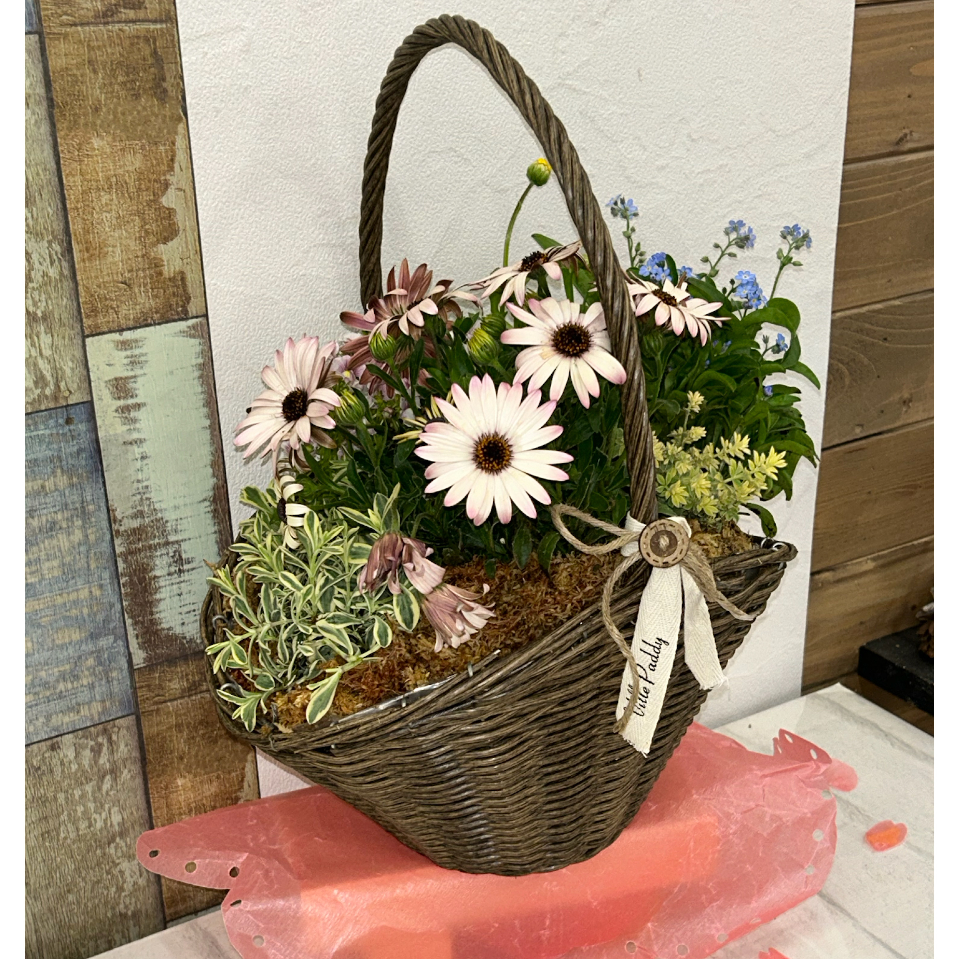 春 爛 漫 ❤︎ナチュラル籠の春の寄せ植え maxresdefault.jpg
