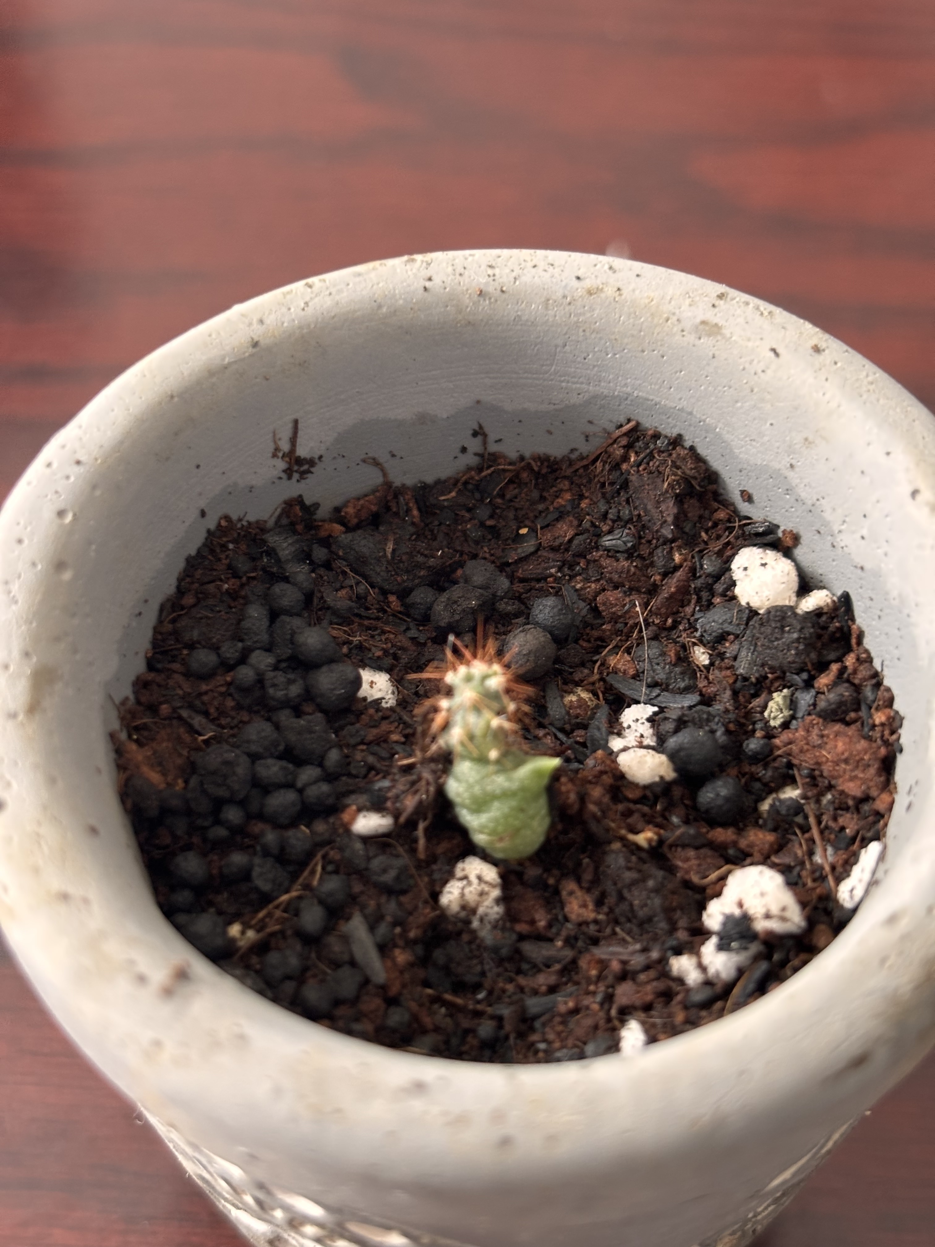 26c518f3-4a65-4d2f-acac-