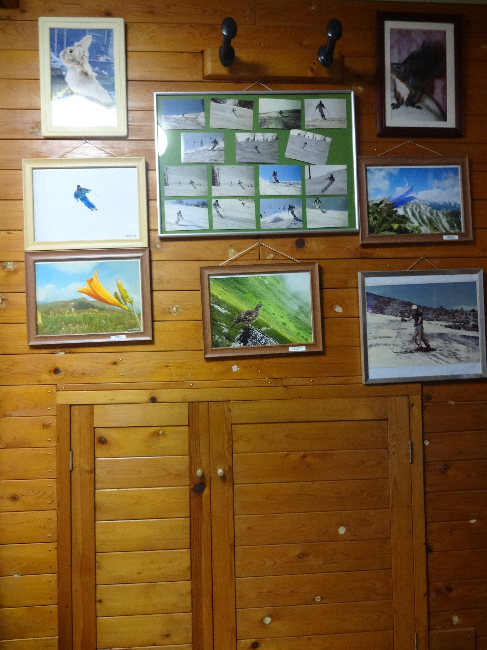 ff290c66-0f65-4206-a7a2-