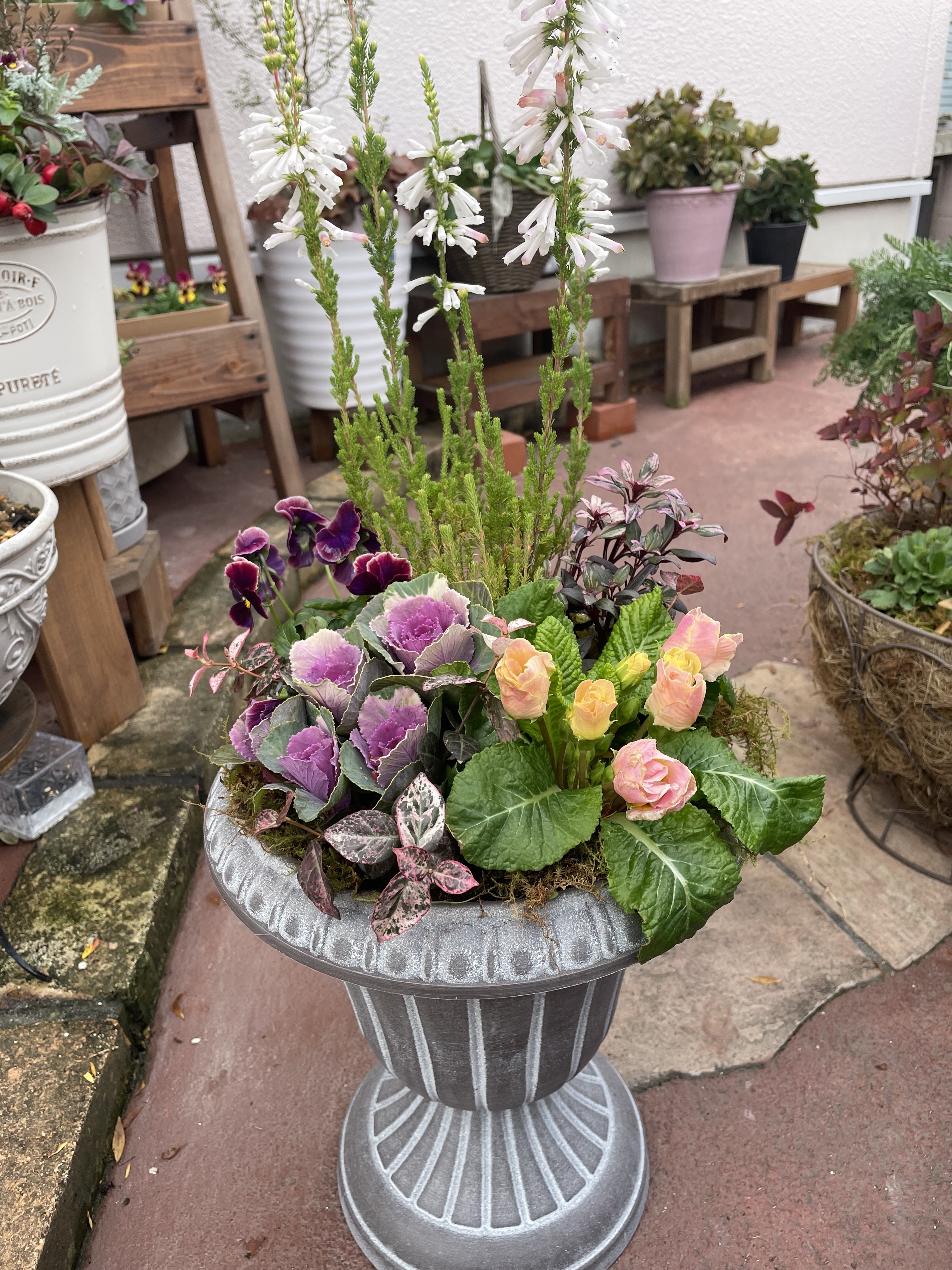 寄せ植え🌸 | CAINZ DIY Square