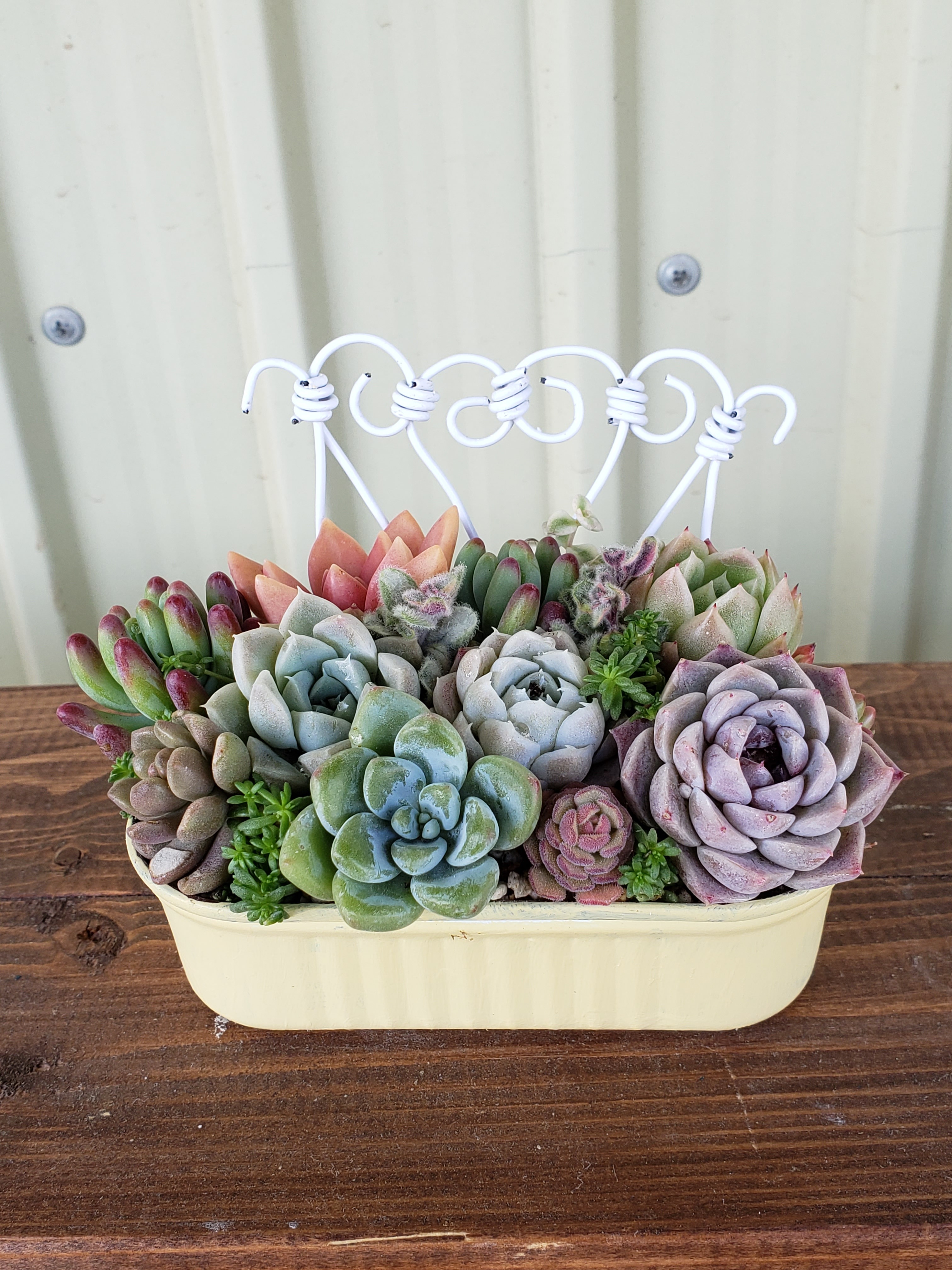 8afc8893-3856-4ac9-b348-