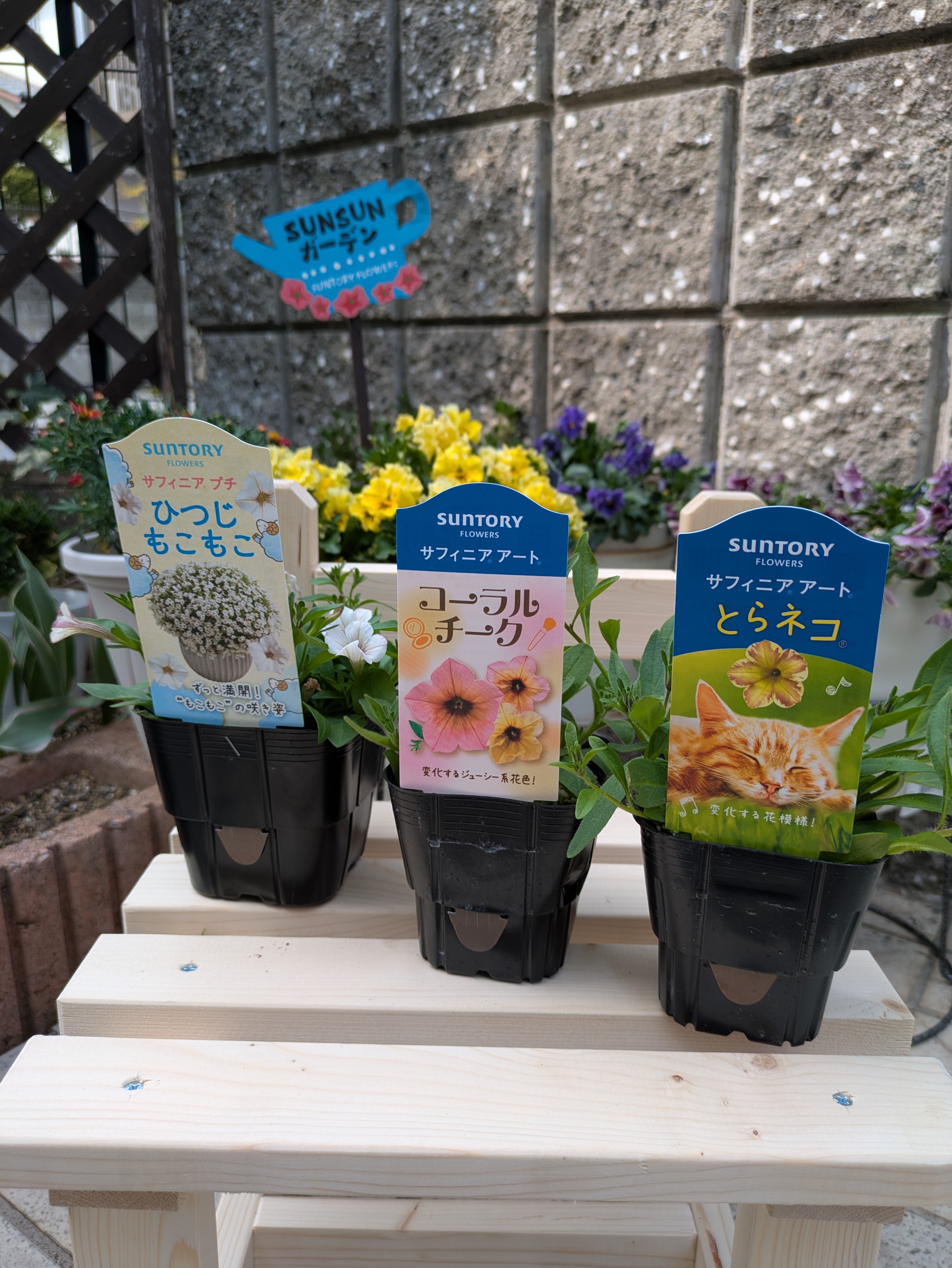 『花園』　ナチュラル kana1173 | 花博記念公園鶴見緑地 ⁡ 大阪市鶴見区にあり、｢国際花と緑