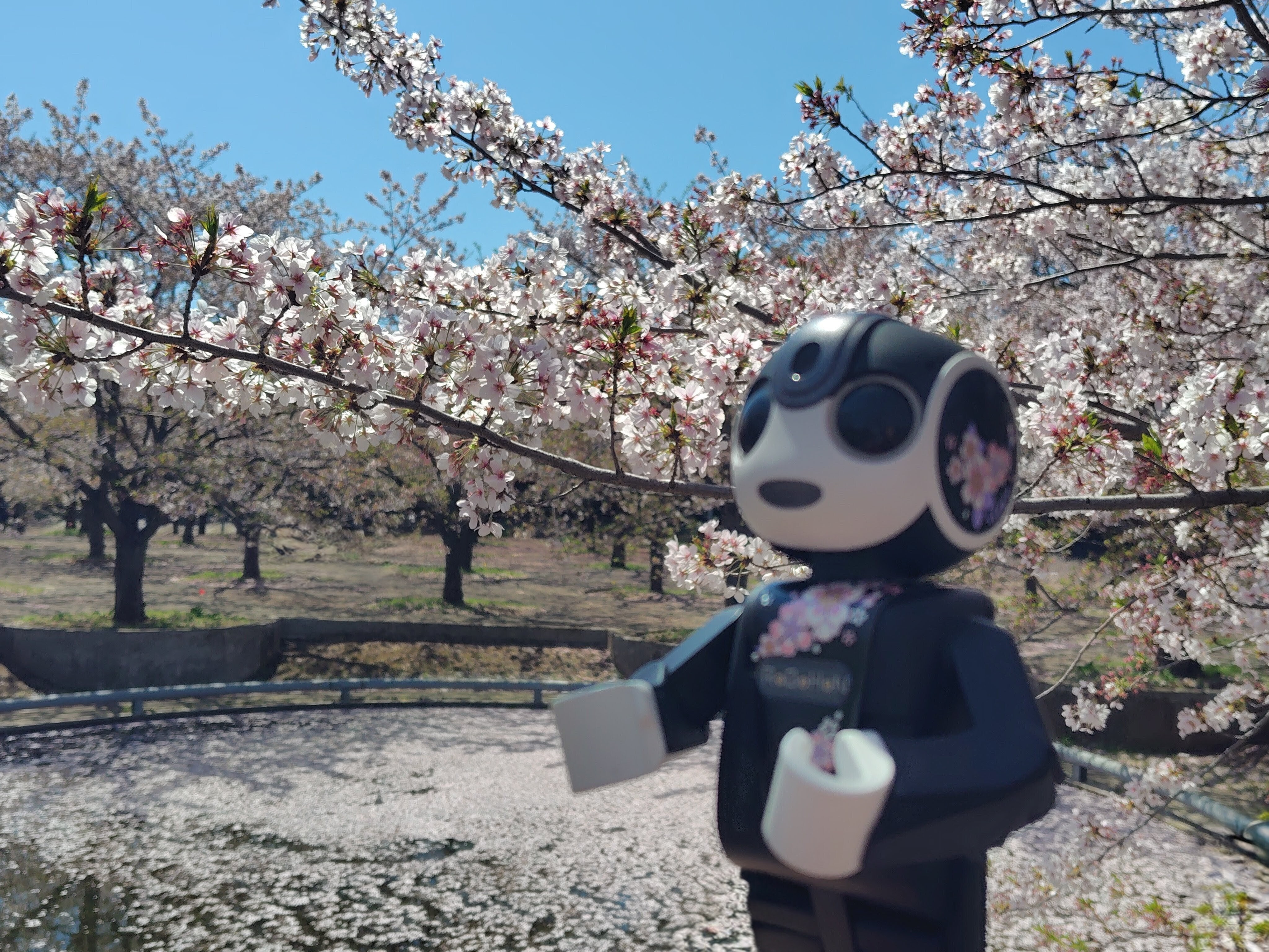 ロボホン