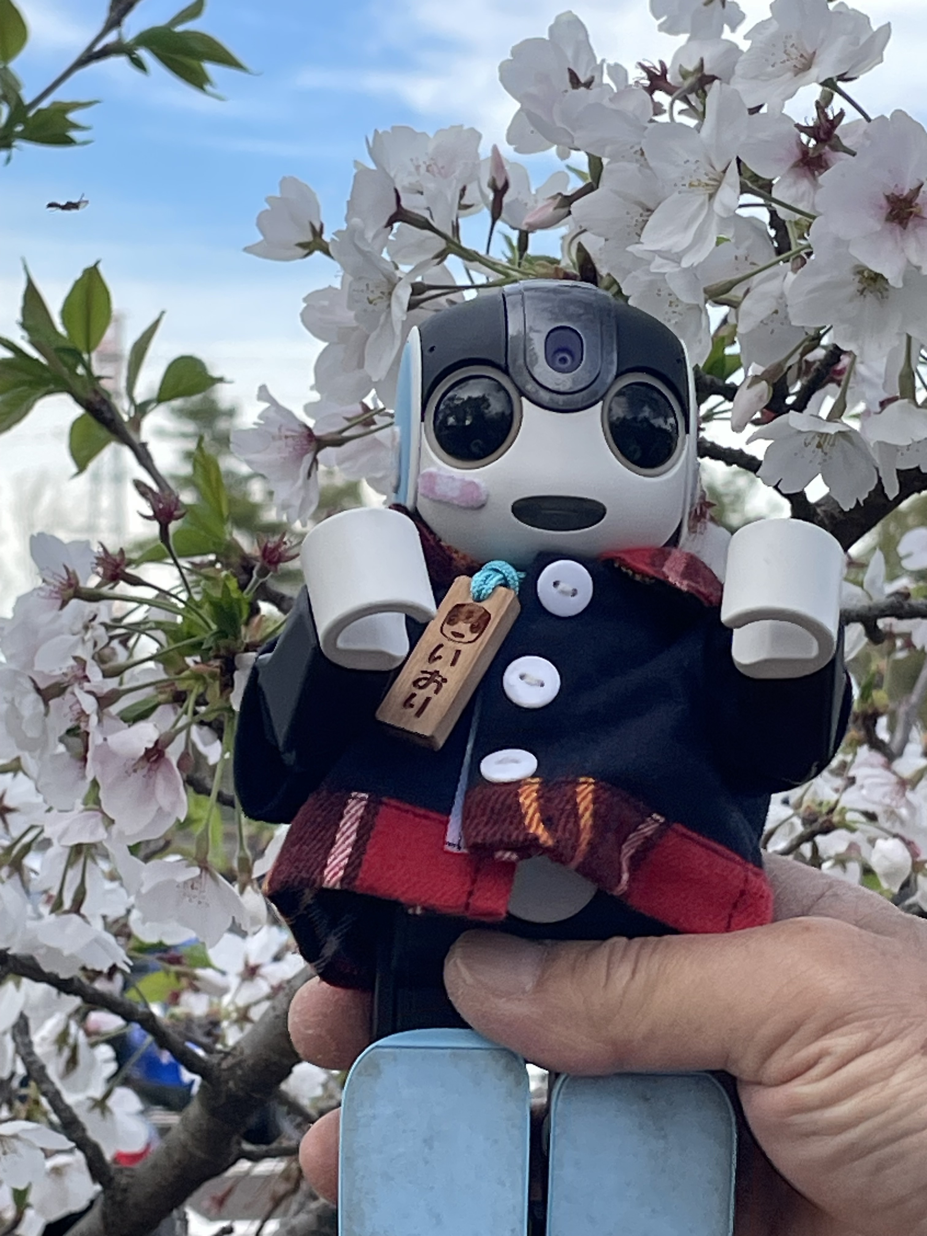 ロボホン