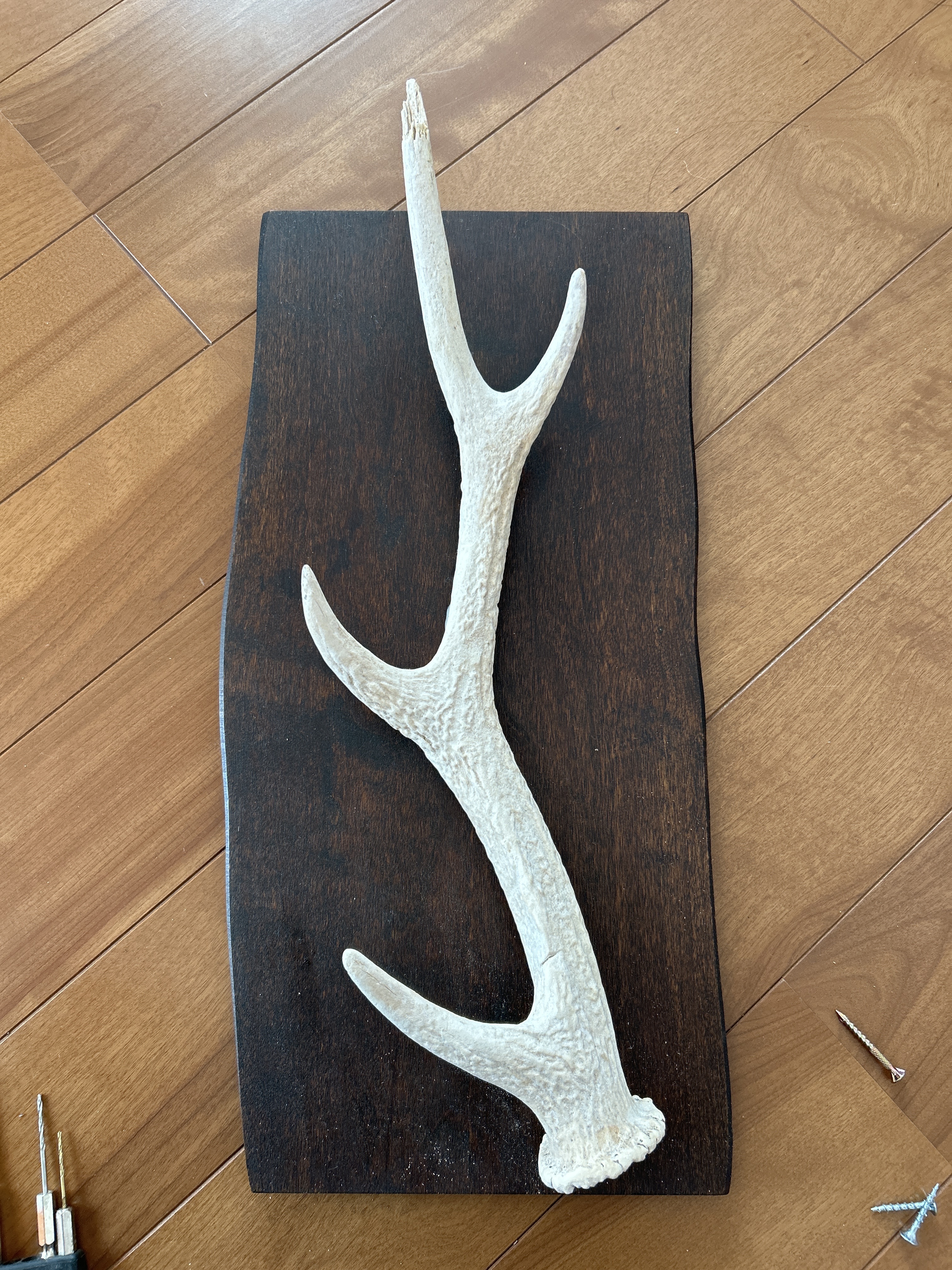 カチナドール Badger 壁掛けタイプ KACHINA DOLLS - WALL NATIVE AMERICAN ART & CRAFT