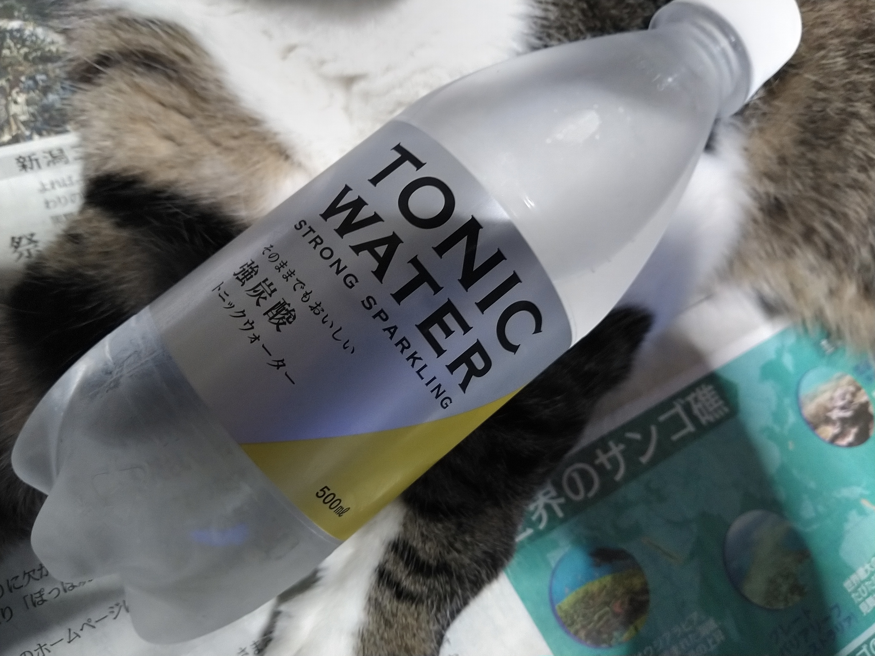 友桝飲料】TONIC WATER【トモマス】 | TORQUE STYLE