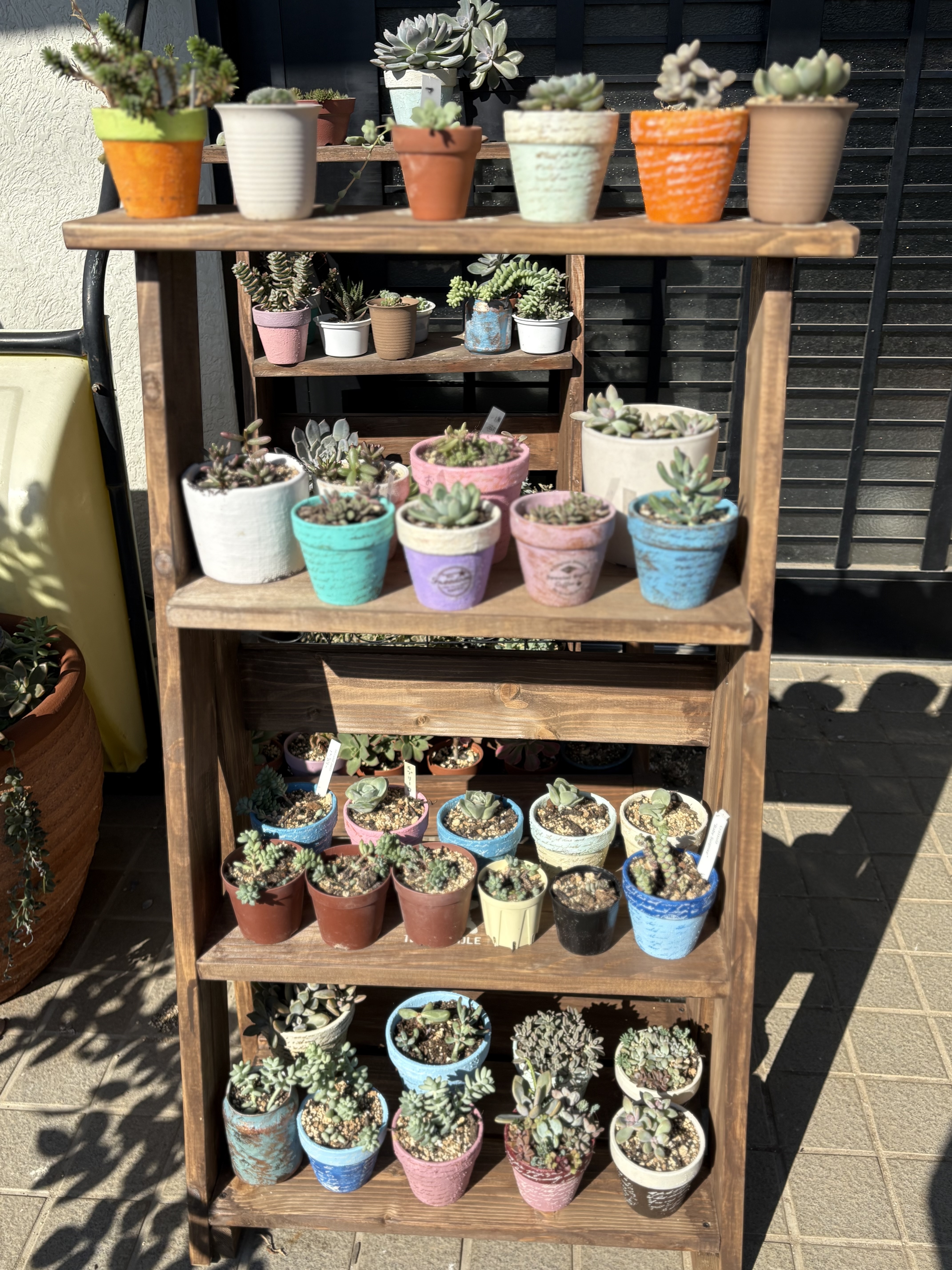 多肉植物を飾りました | CAINZ DIY Square