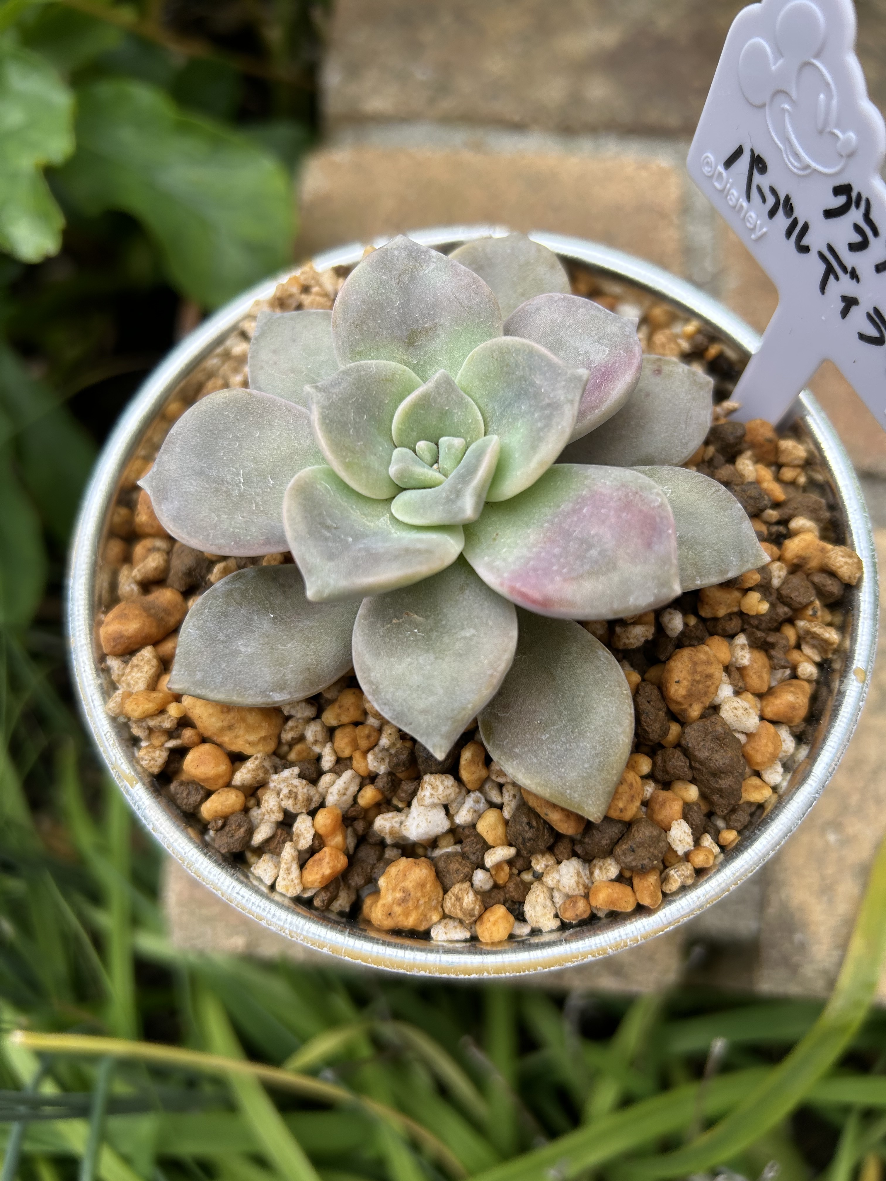 5c6828ba-c28b-4e16-b7b8-