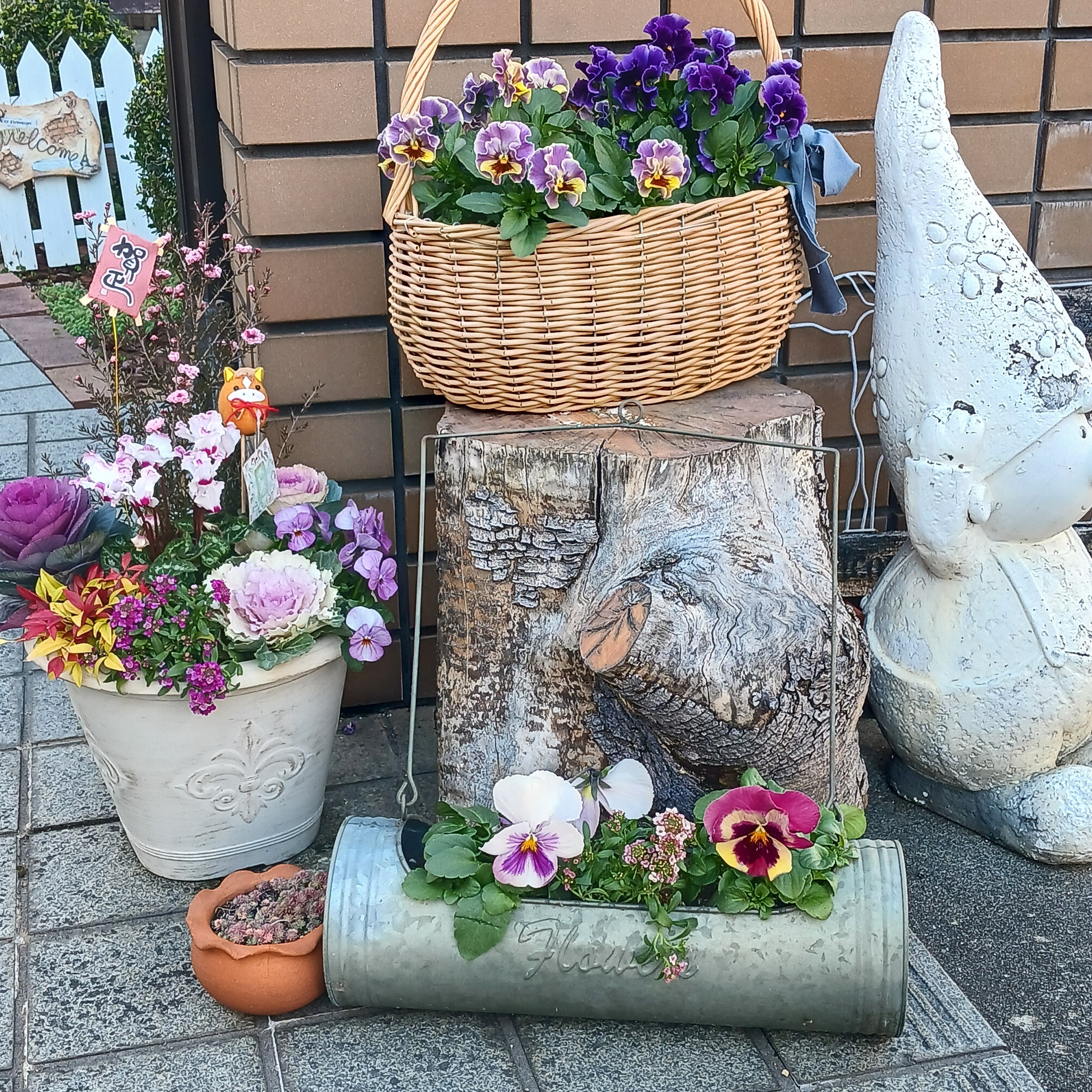 黒ポットで放置していたパンジーを植え付けました | CAINZ DIY Square