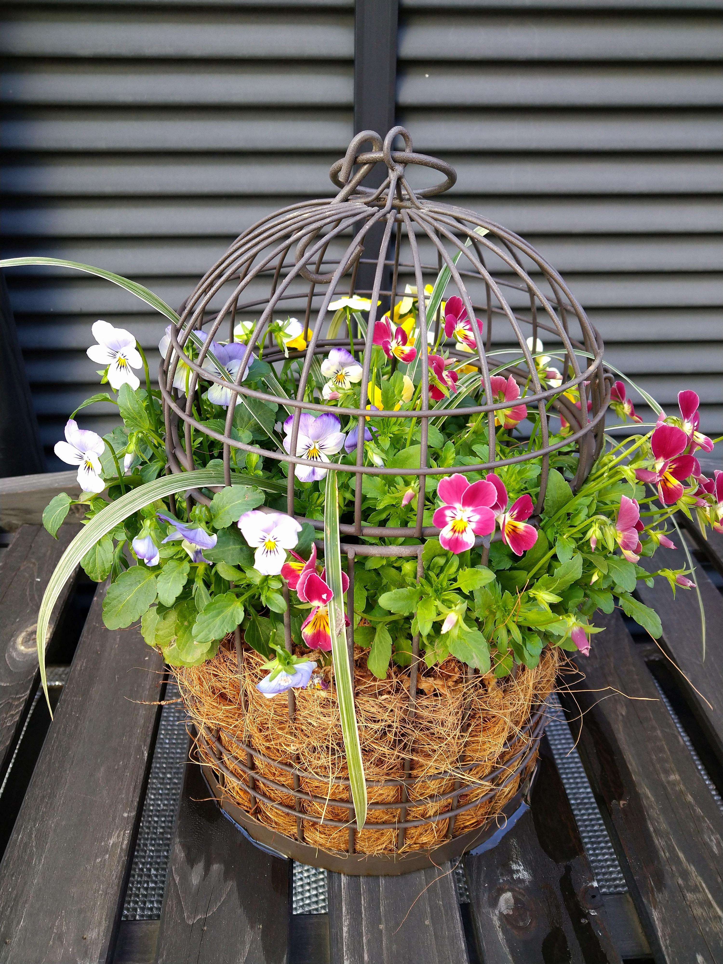 鳥かごの寄せ植え | CAINZ DIY Square