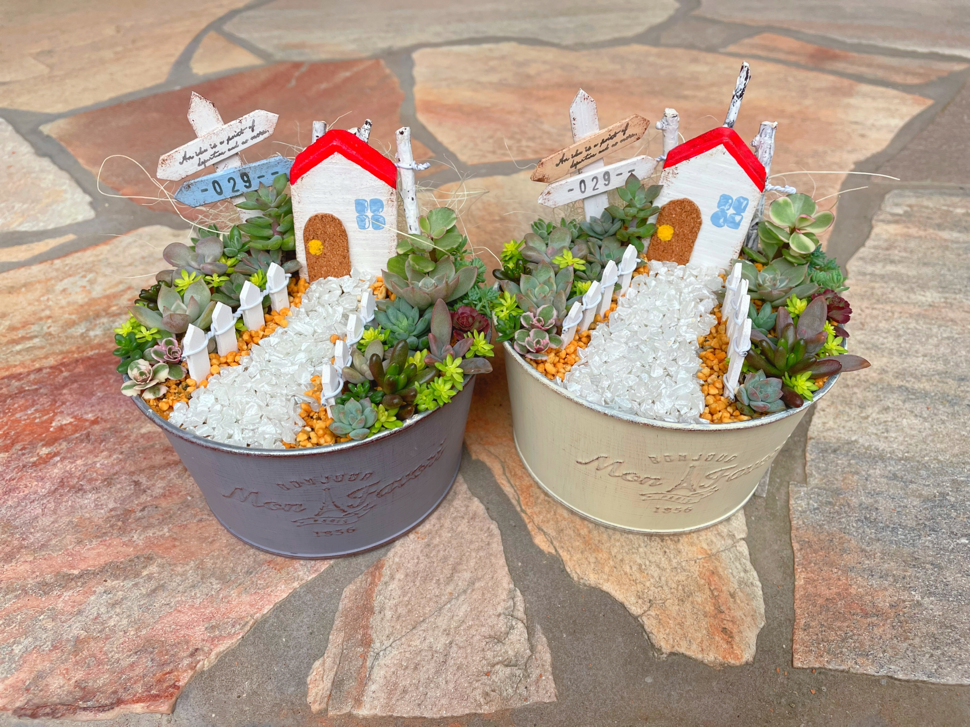 多肉の箱庭風寄せ植え✨ | CAINZ DIY Square