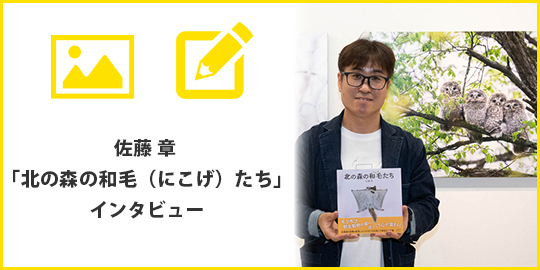 ニッコールクラブ会員展 佐藤 章 「北の森の | PHOTO HUB by nikkor