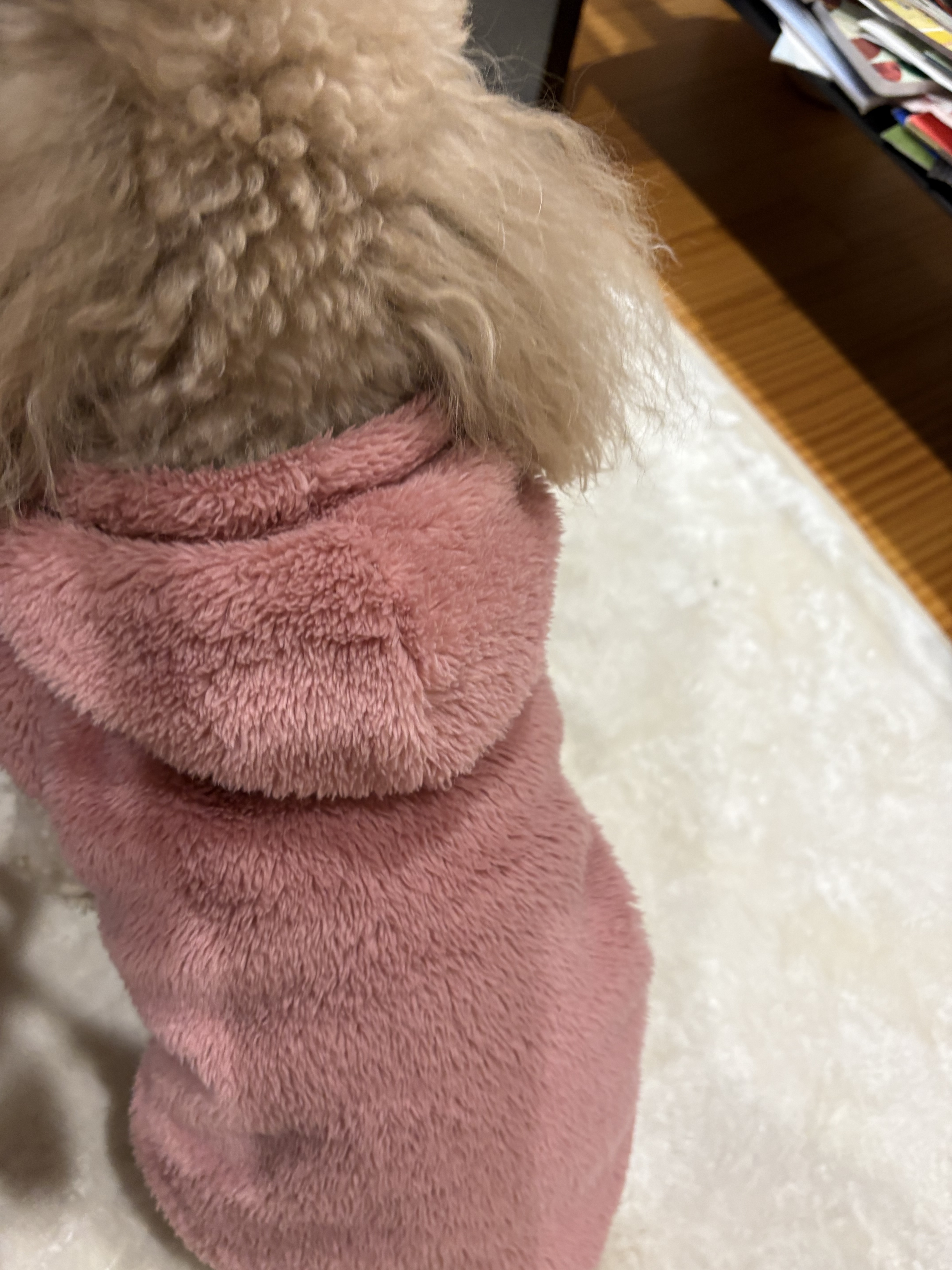 寒い日はこの服でお出かけ