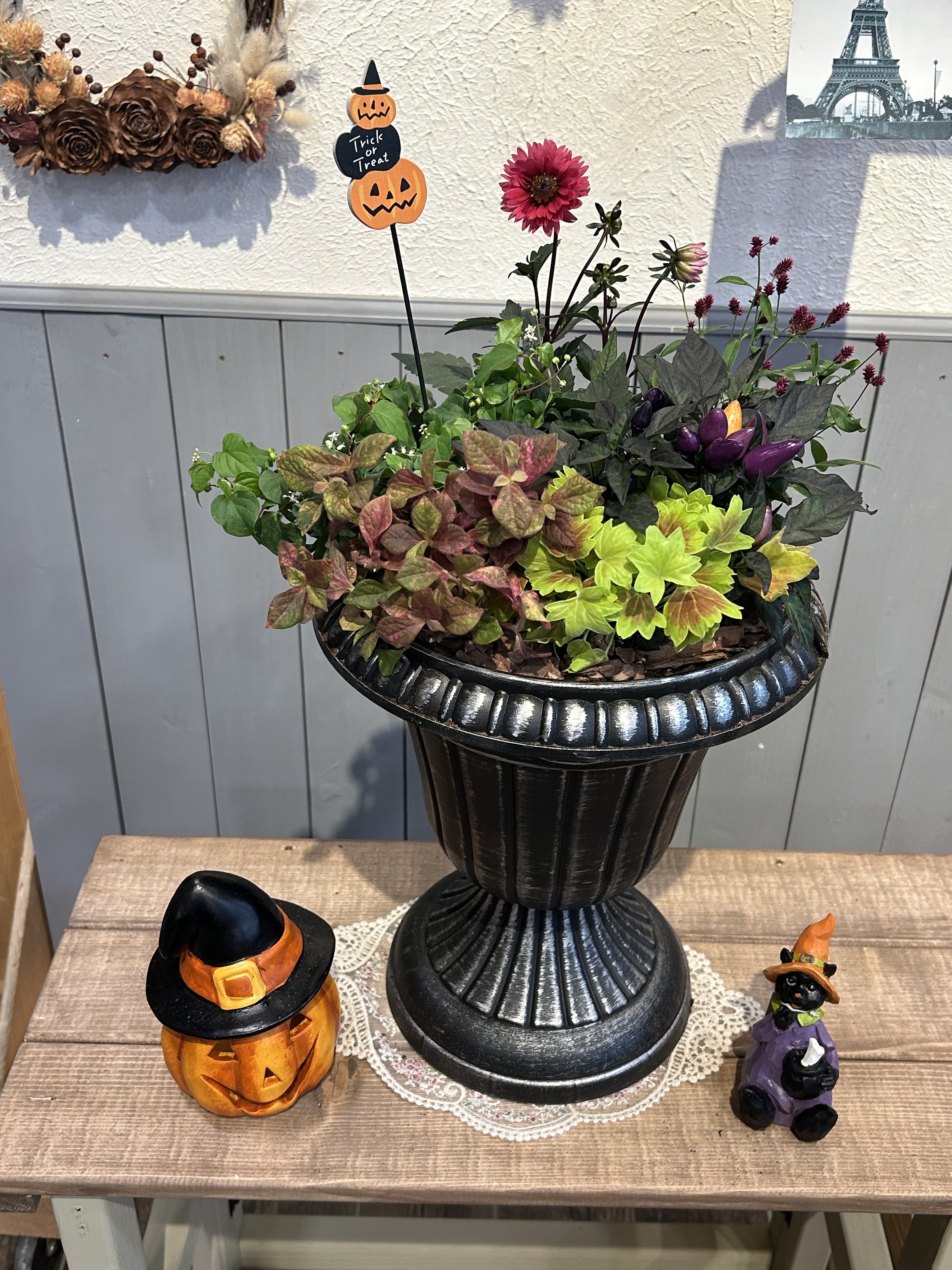 ハロウィンの寄せ植え | CAINZ DIY Square