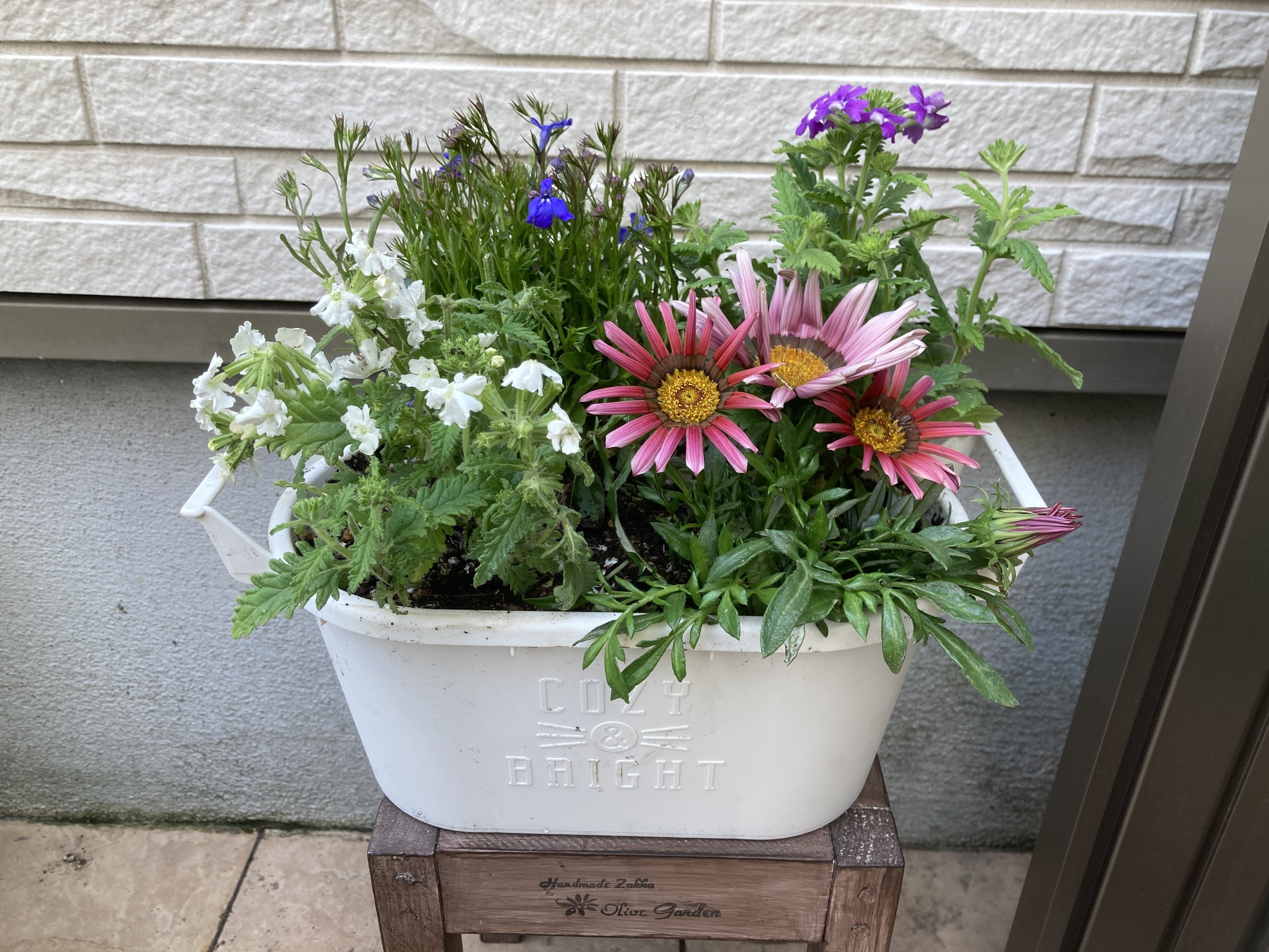 寄せ植え | CAINZ DIY Square