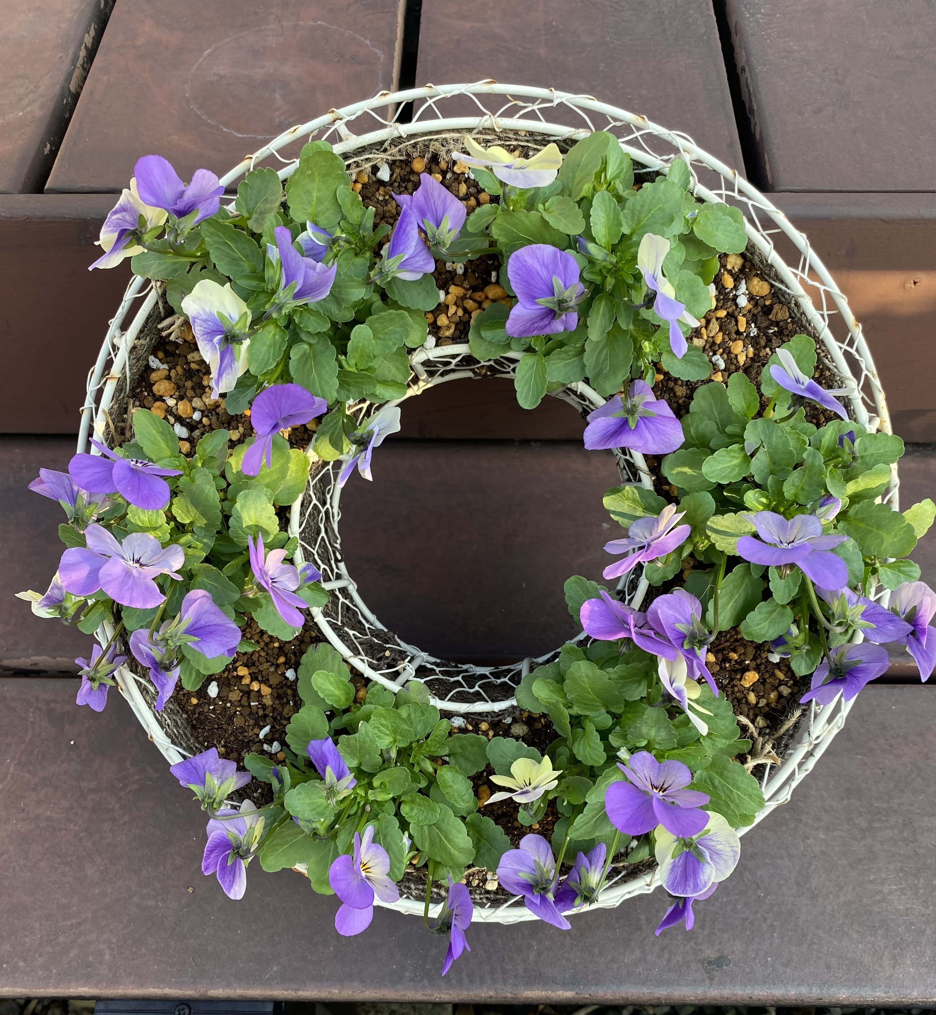 キャロルウィルソン ペーパーボックス パンジー リース ビオラ 花柄