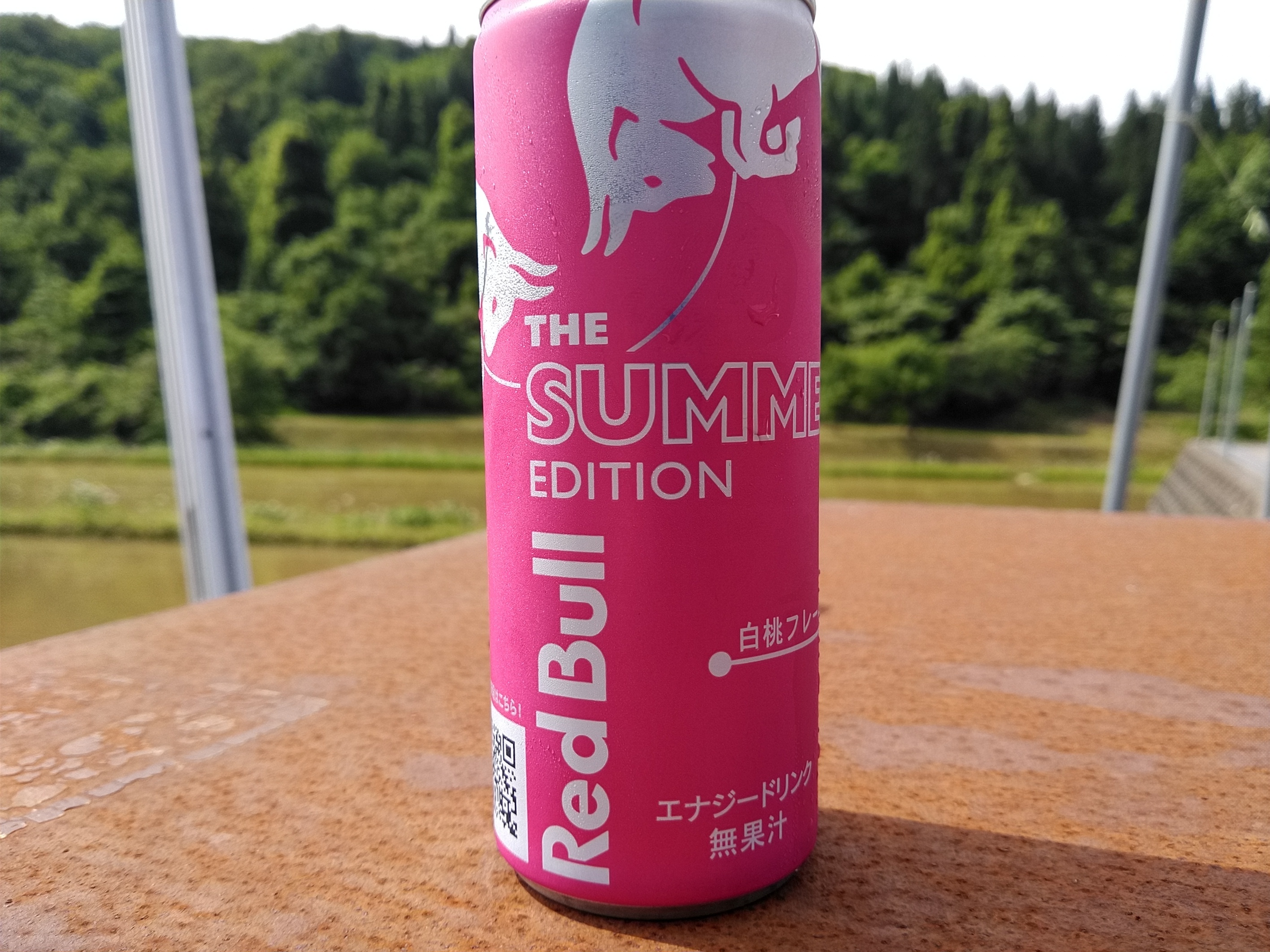 つかさ様グレープ2ブルーベリー1マンゴー1レッドブル1 ご家庭用）完熟マンゴー約700g（大きさおまかせ2玉）【6月頃から発送