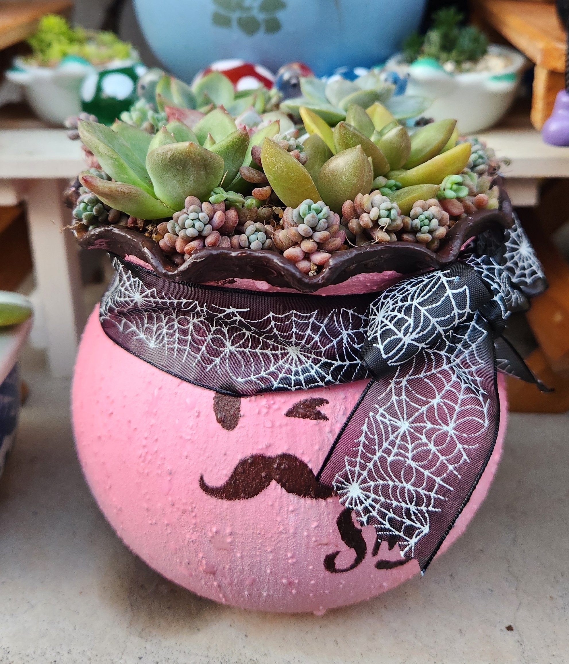 リメイク植木鉢 リメイク鉢に多肉の寄せ植え✨ | CAINZ DIY Square