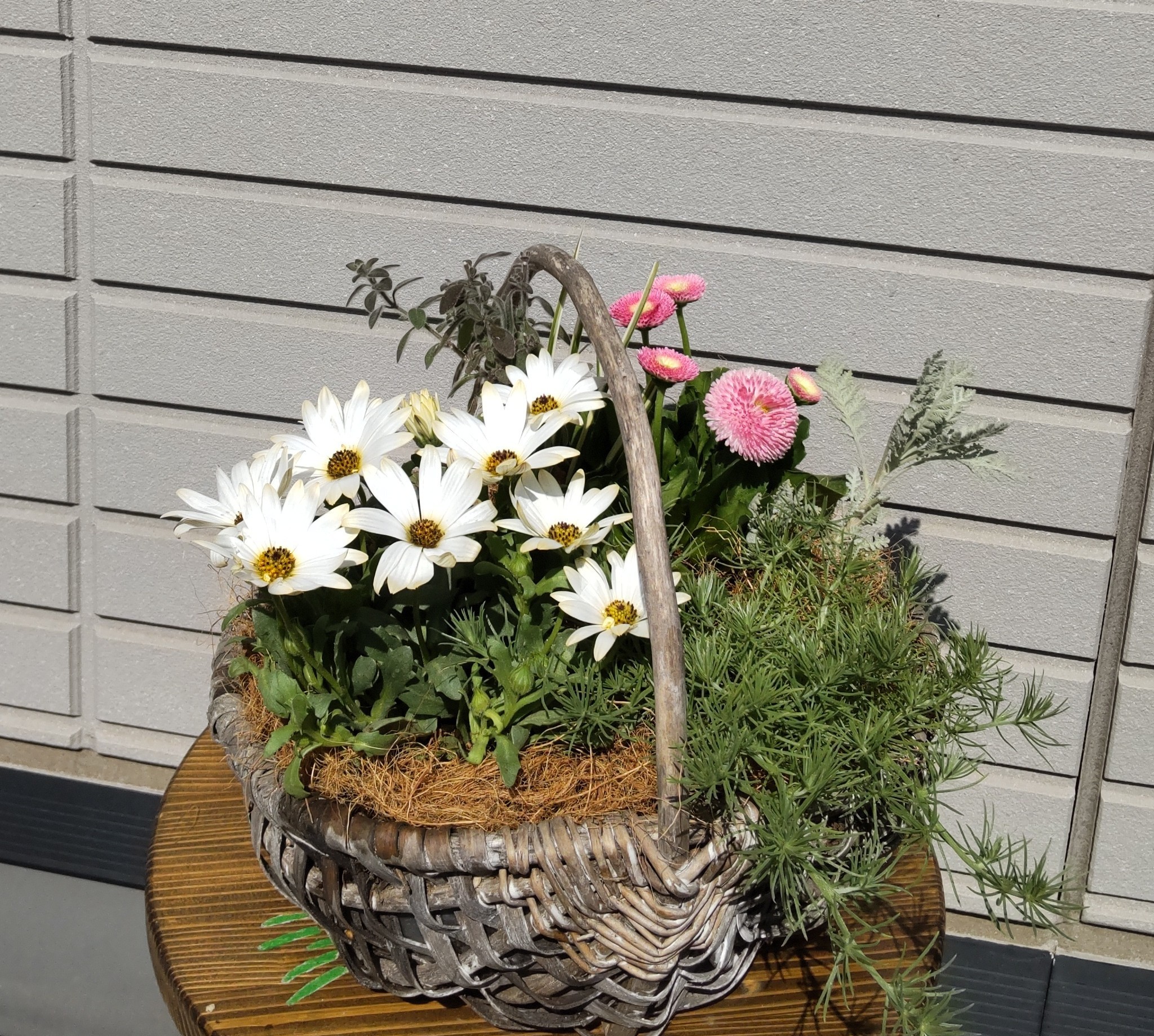 かごの寄せ植え | CAINZ DIY Square