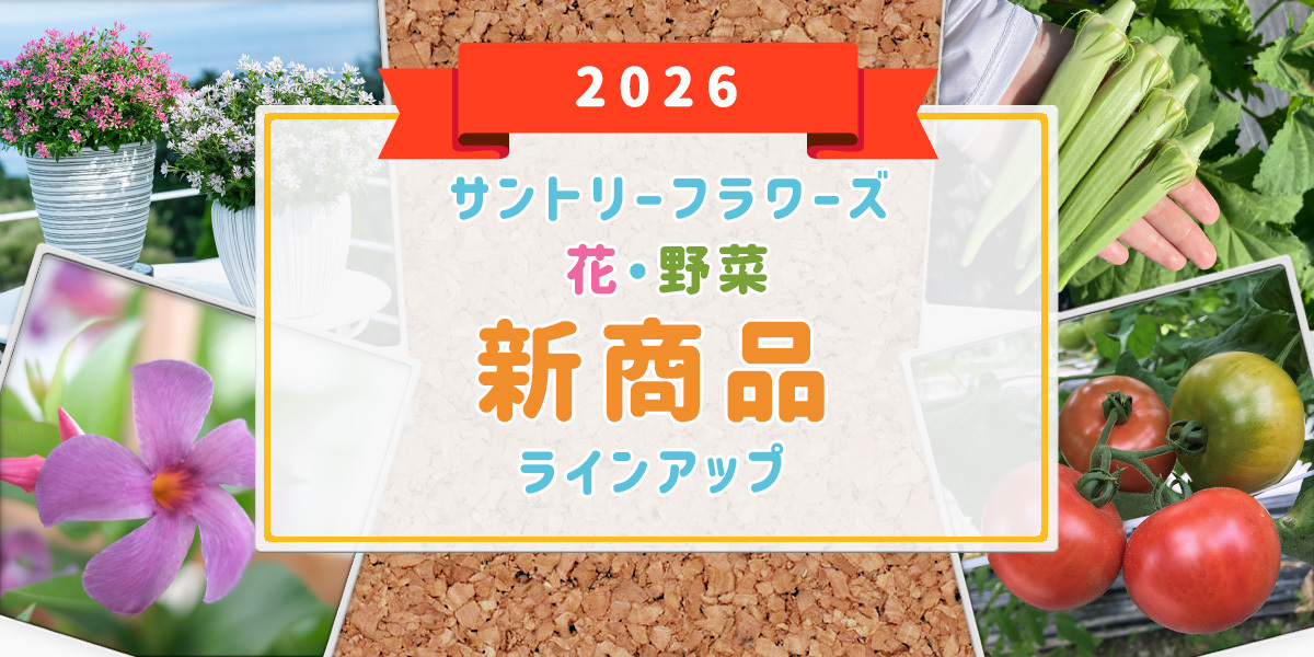 サントリーフラワーズの26年新商品を一挙公開！ | SUNSUNガーデン
