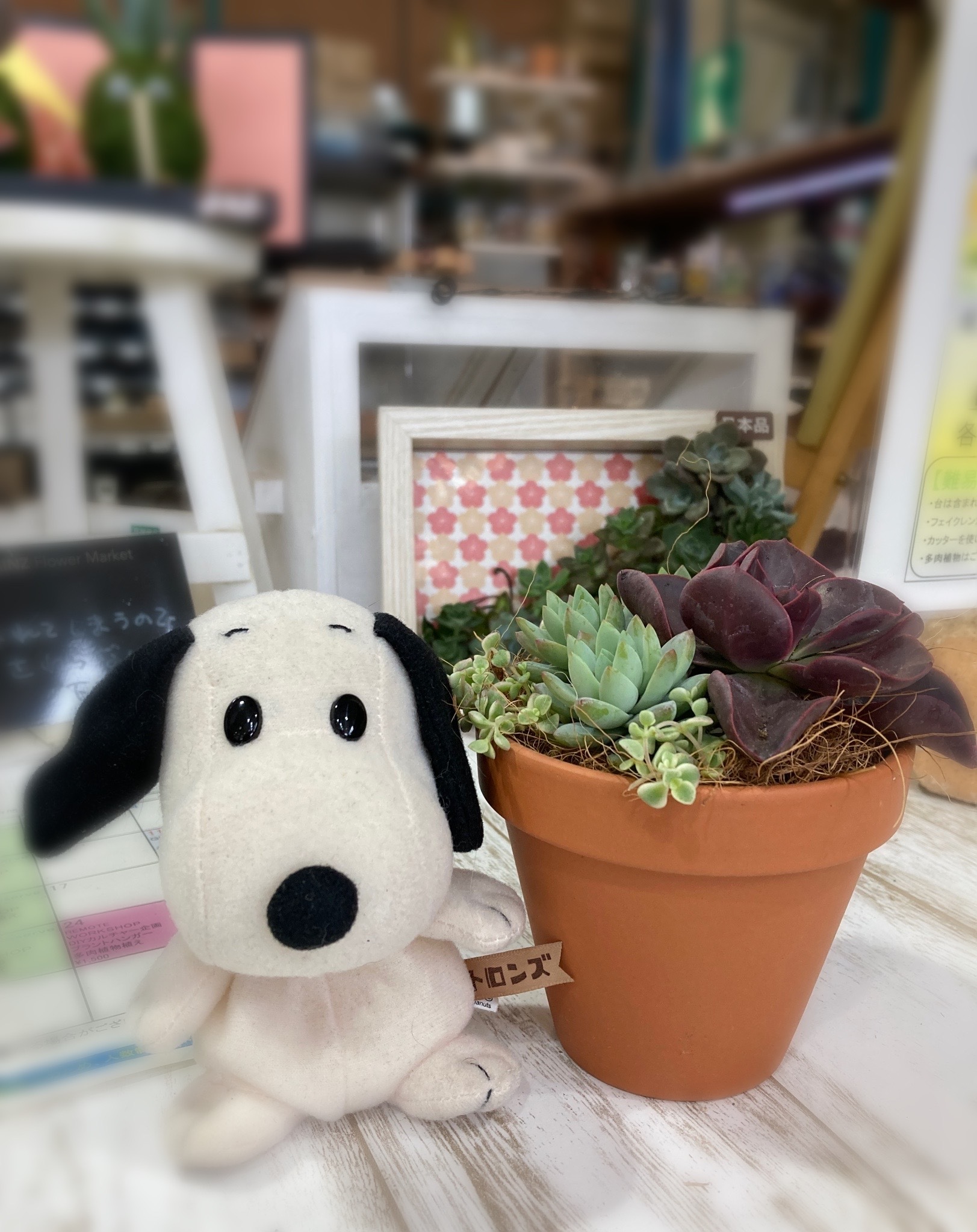パン型　プランター　アイアン　検）多肉植物　什器　観葉植物　ＤＩＹ　店舗　カフェ パン型 プランター アイアン 検）多肉植物 什器 観葉植物 DIY
