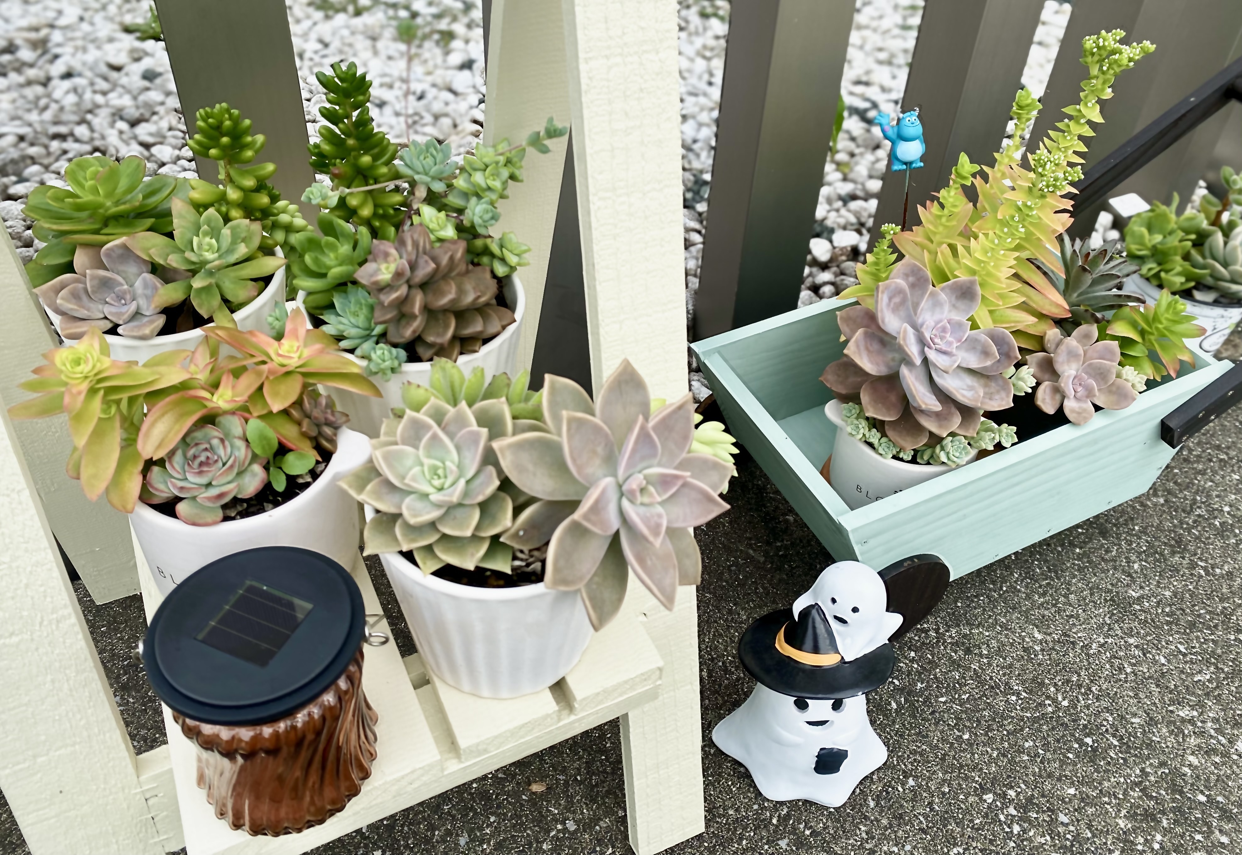 かわいい多肉寄せ植え | CAINZ DIY Square