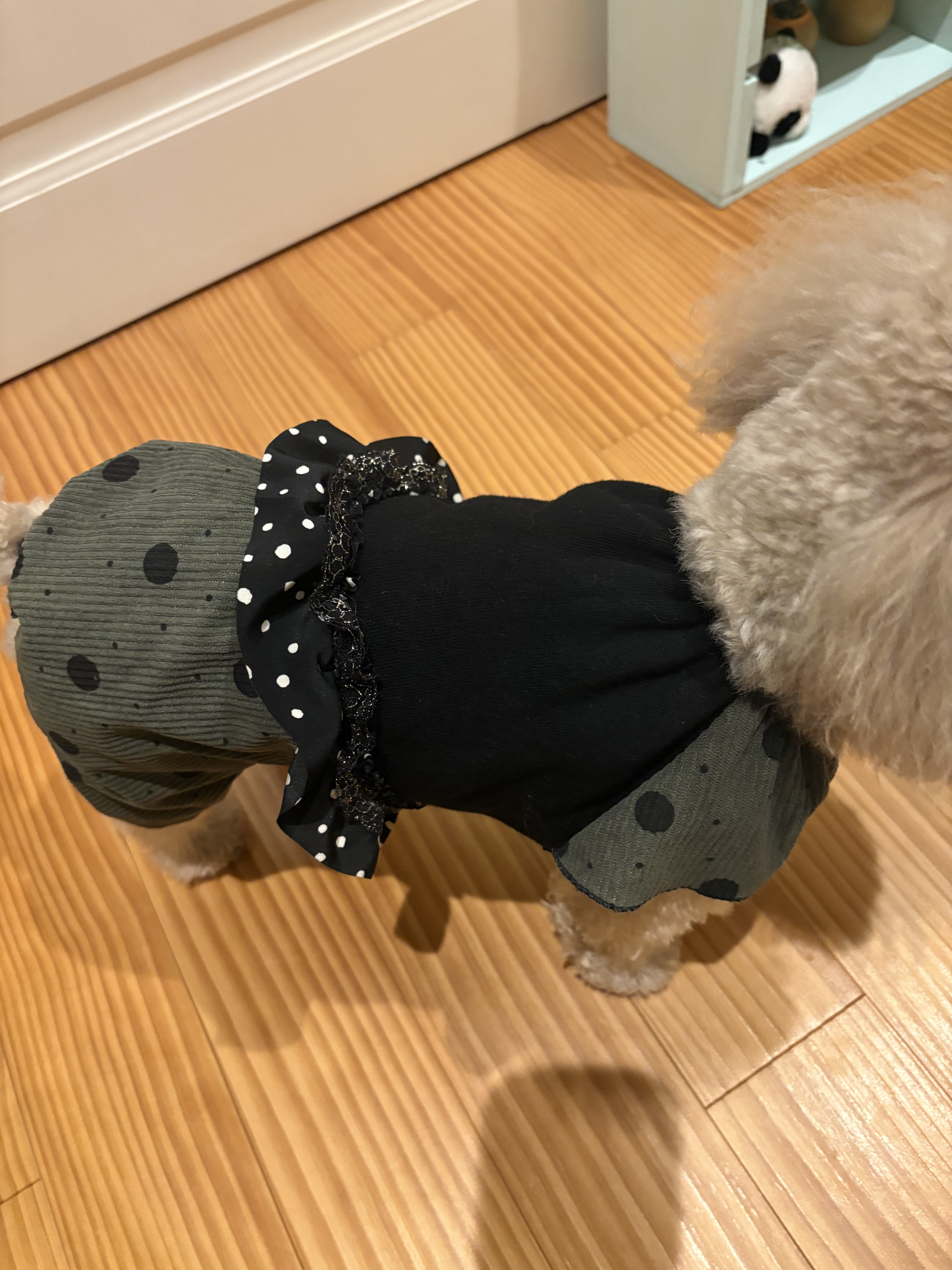 お気に入りのお洋服❤️