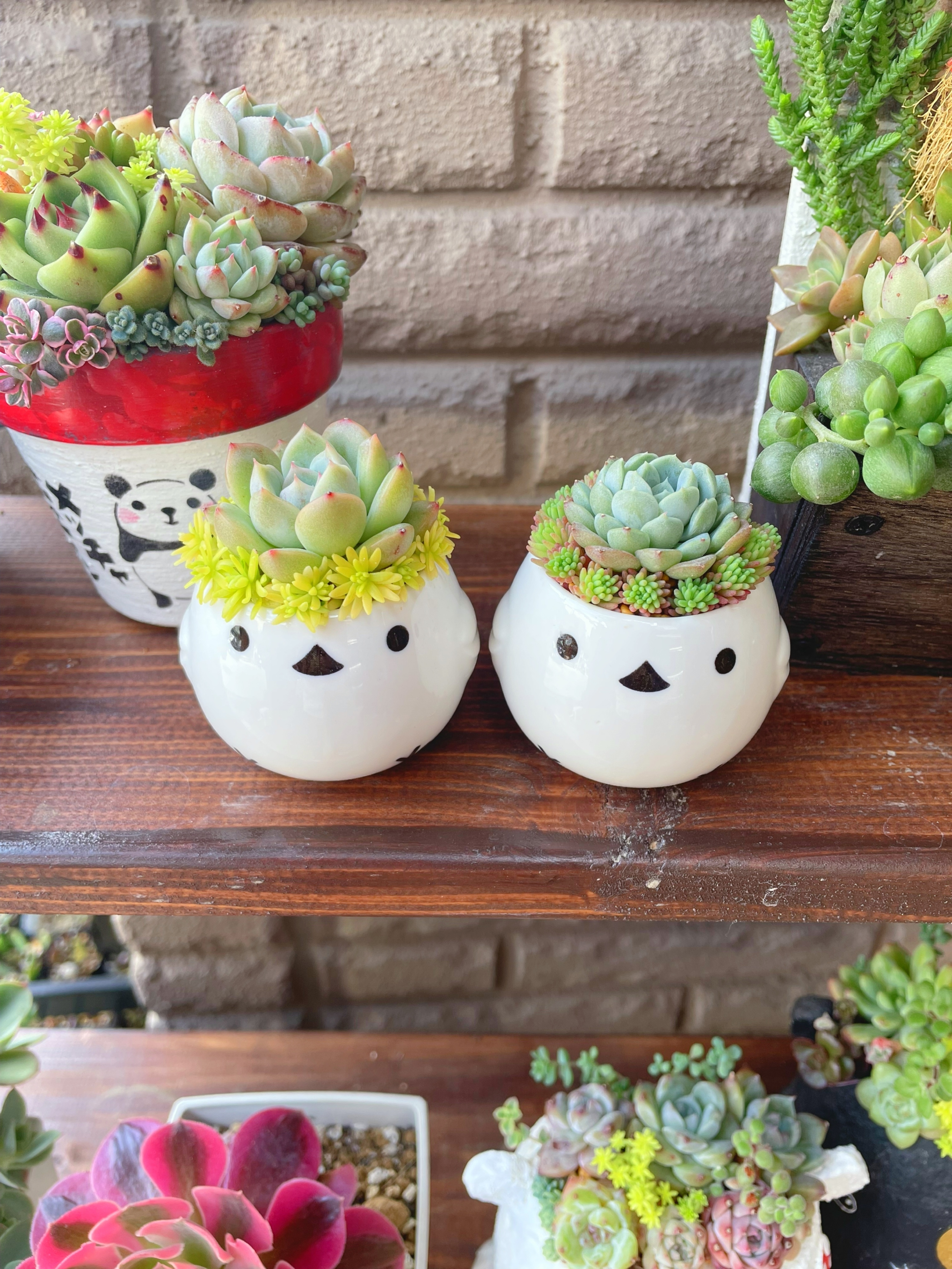 双子シマエナガちゃん❤️ | CAINZ DIY Square