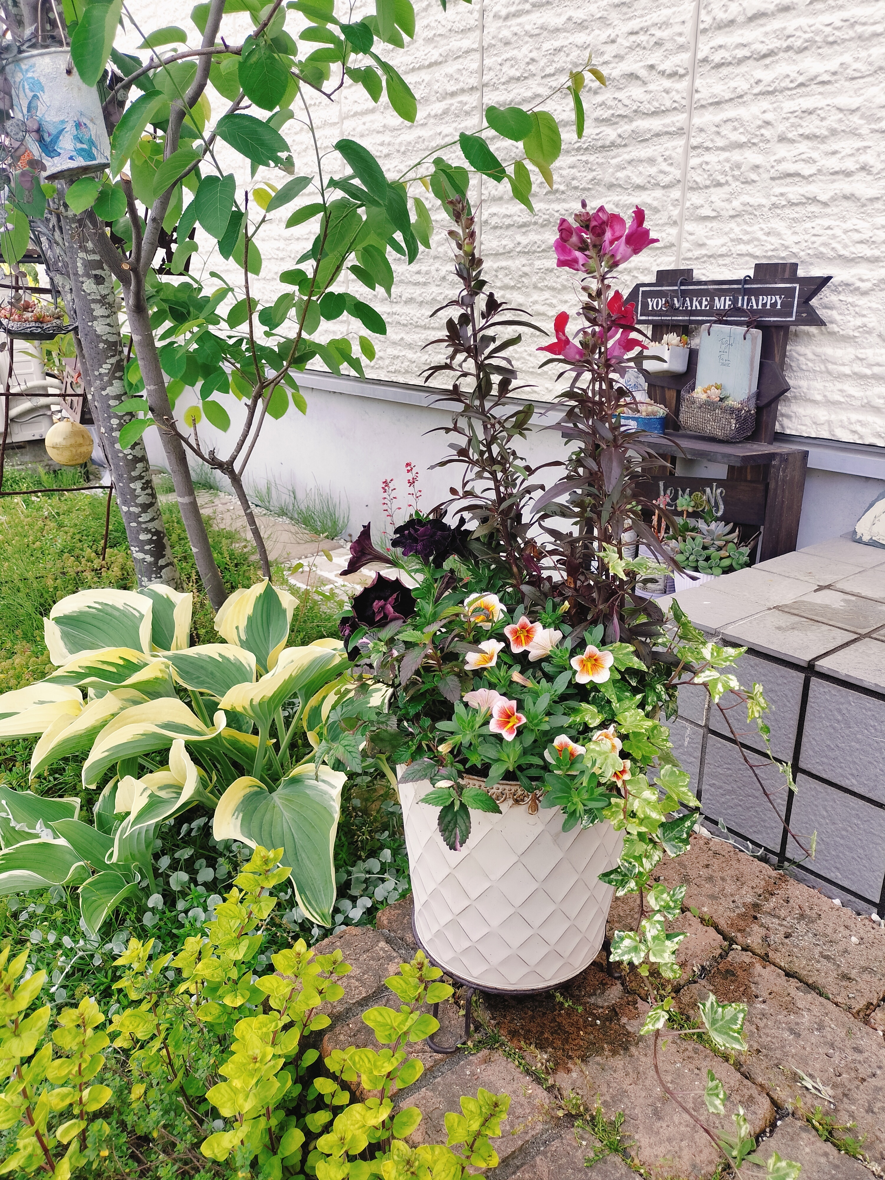 初夏の寄せ植え | CAINZ DIY Square
