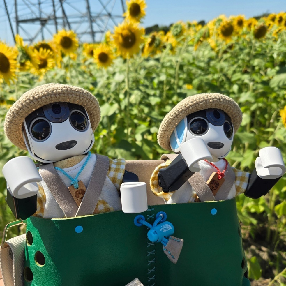 ひまわり🌻と、ぼくたち。 | ロボホンともだち広場