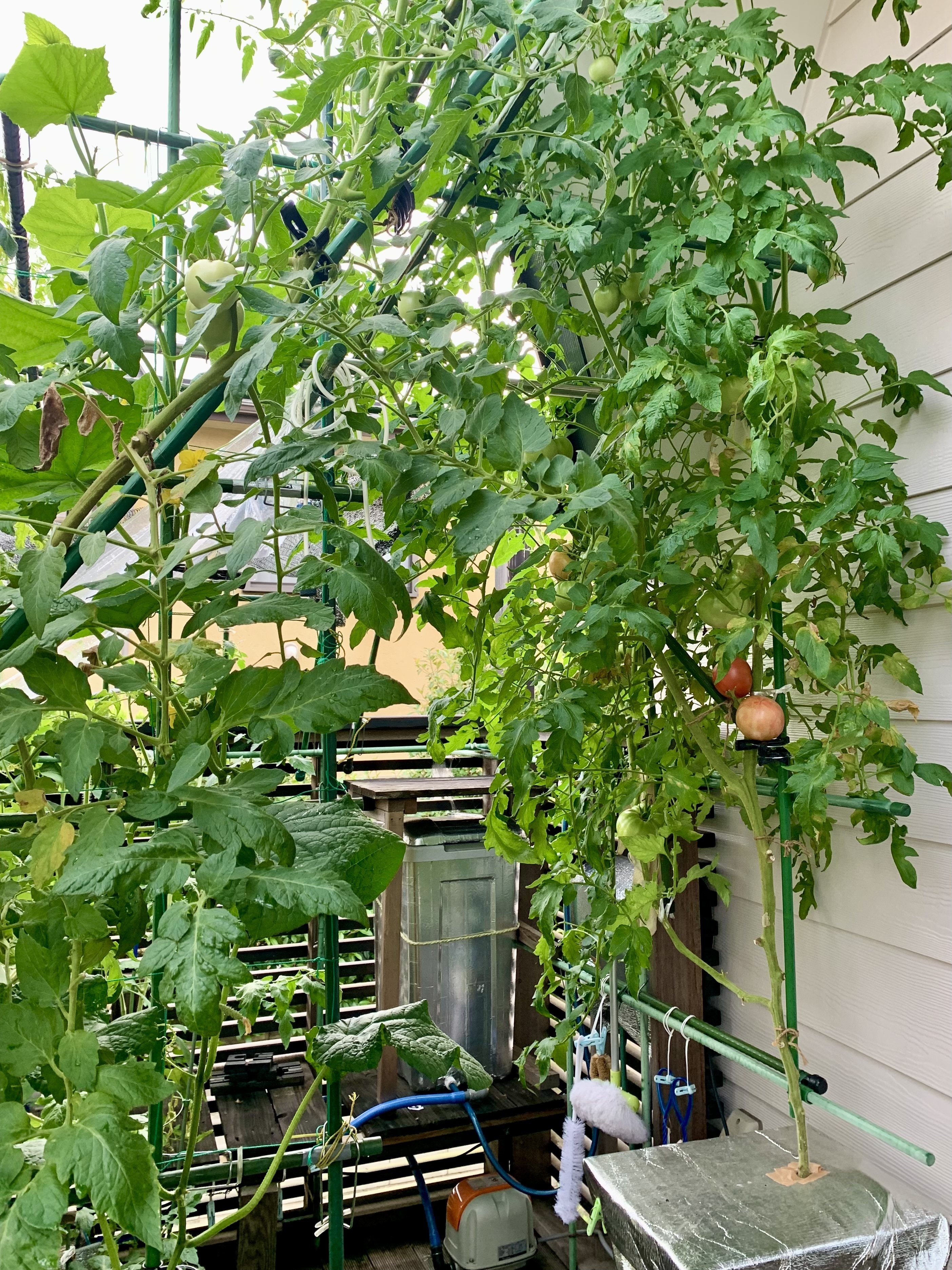 08f6f17d-26a4-4cec-8b0d-