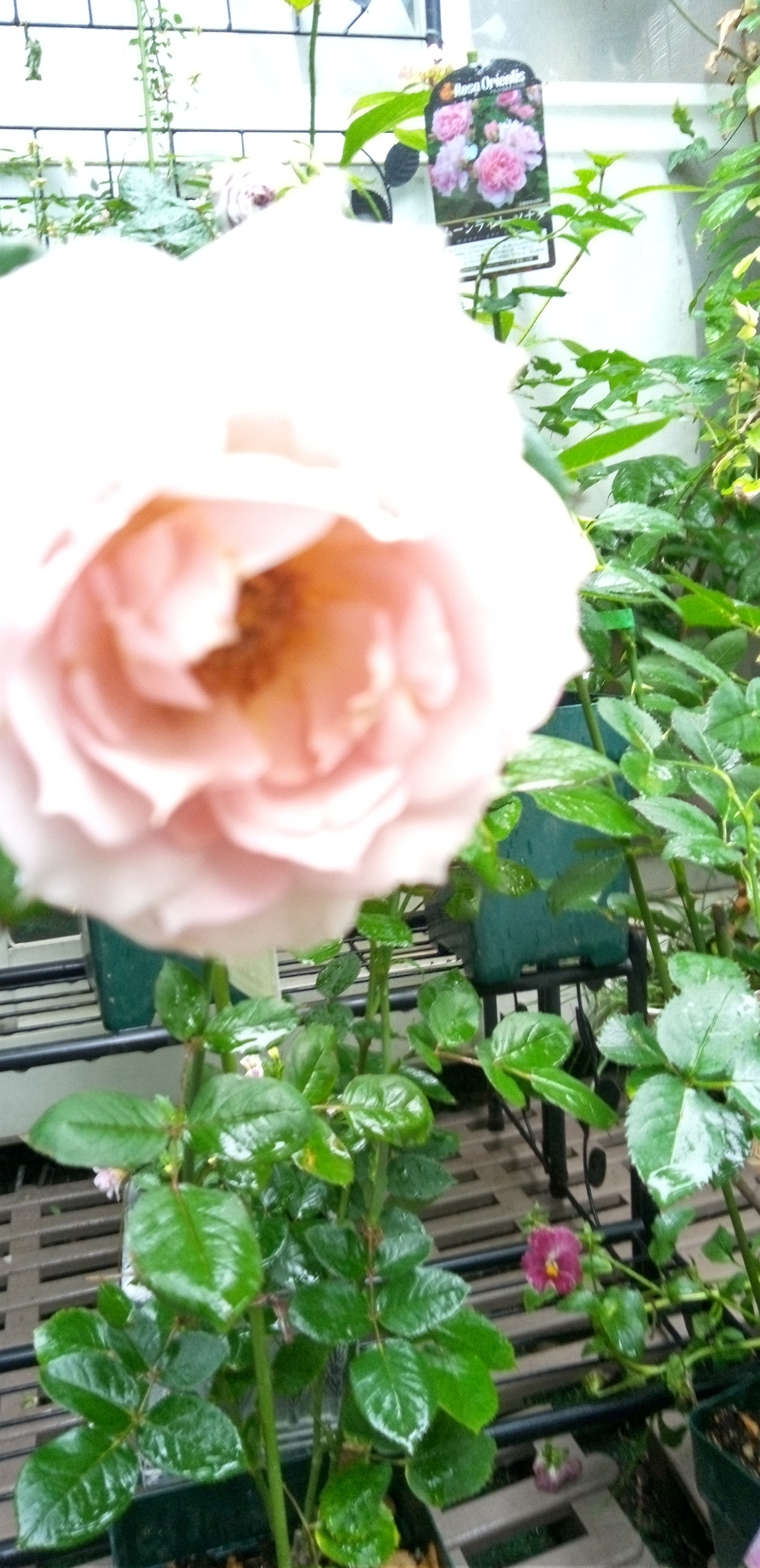 3cb65e3c-5de4-4a5e-9da1-