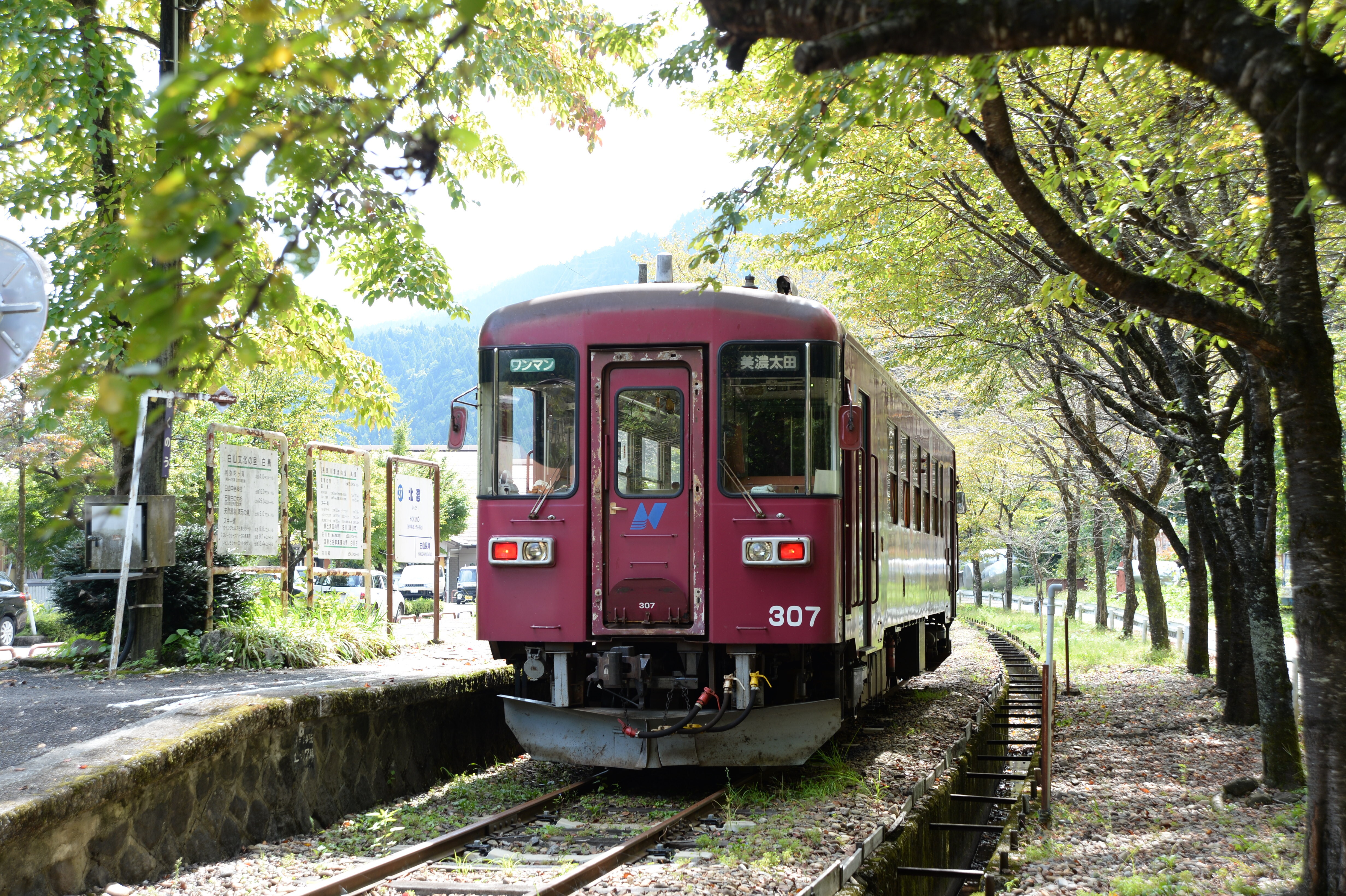 長良川鉄道 越美南線 深戸駅 駅名看板(木製) & 乗務員用腕時計 長良川